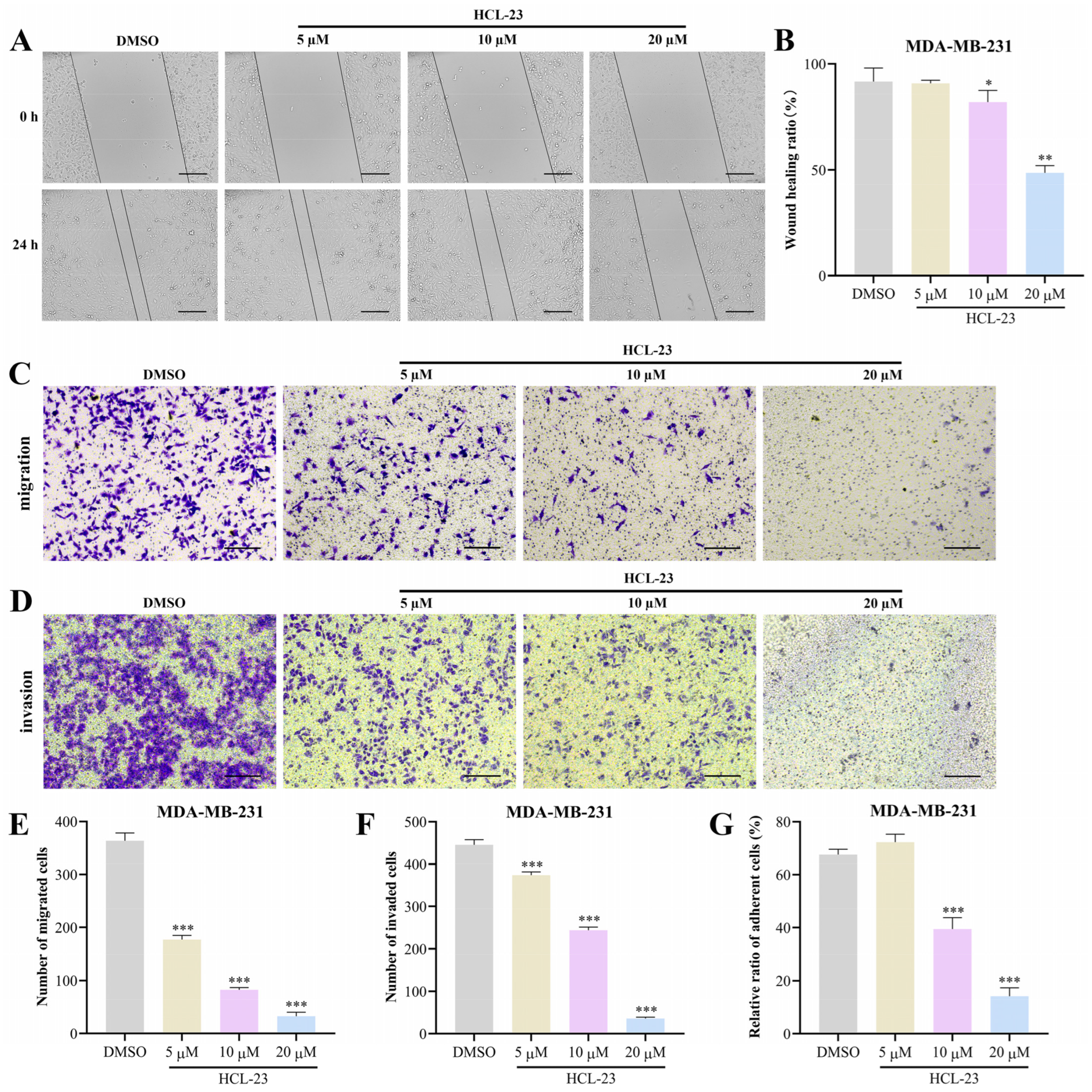 Molecules 28 03389 g003