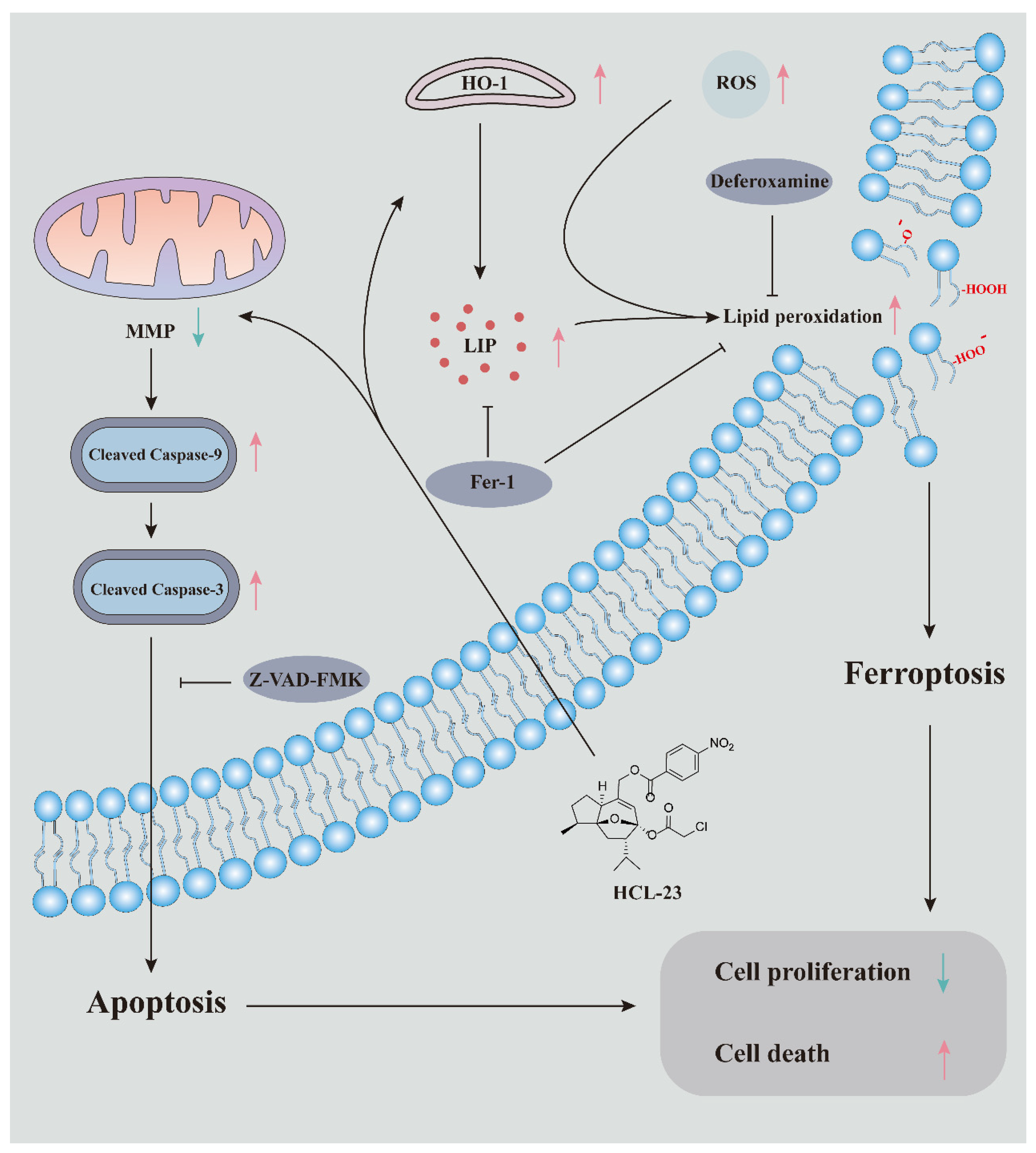 Molecules 28 03389 g009