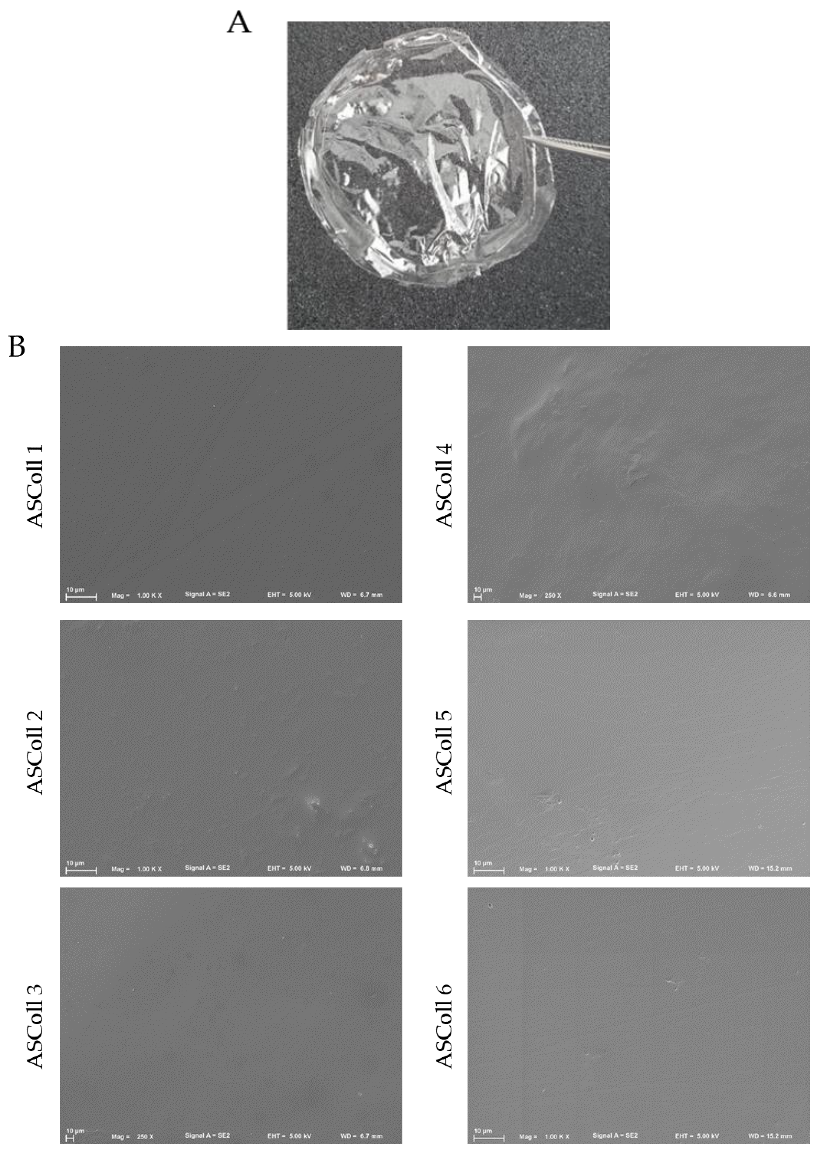Molecules 28 03394 g006 Molecules 28 03394 g006