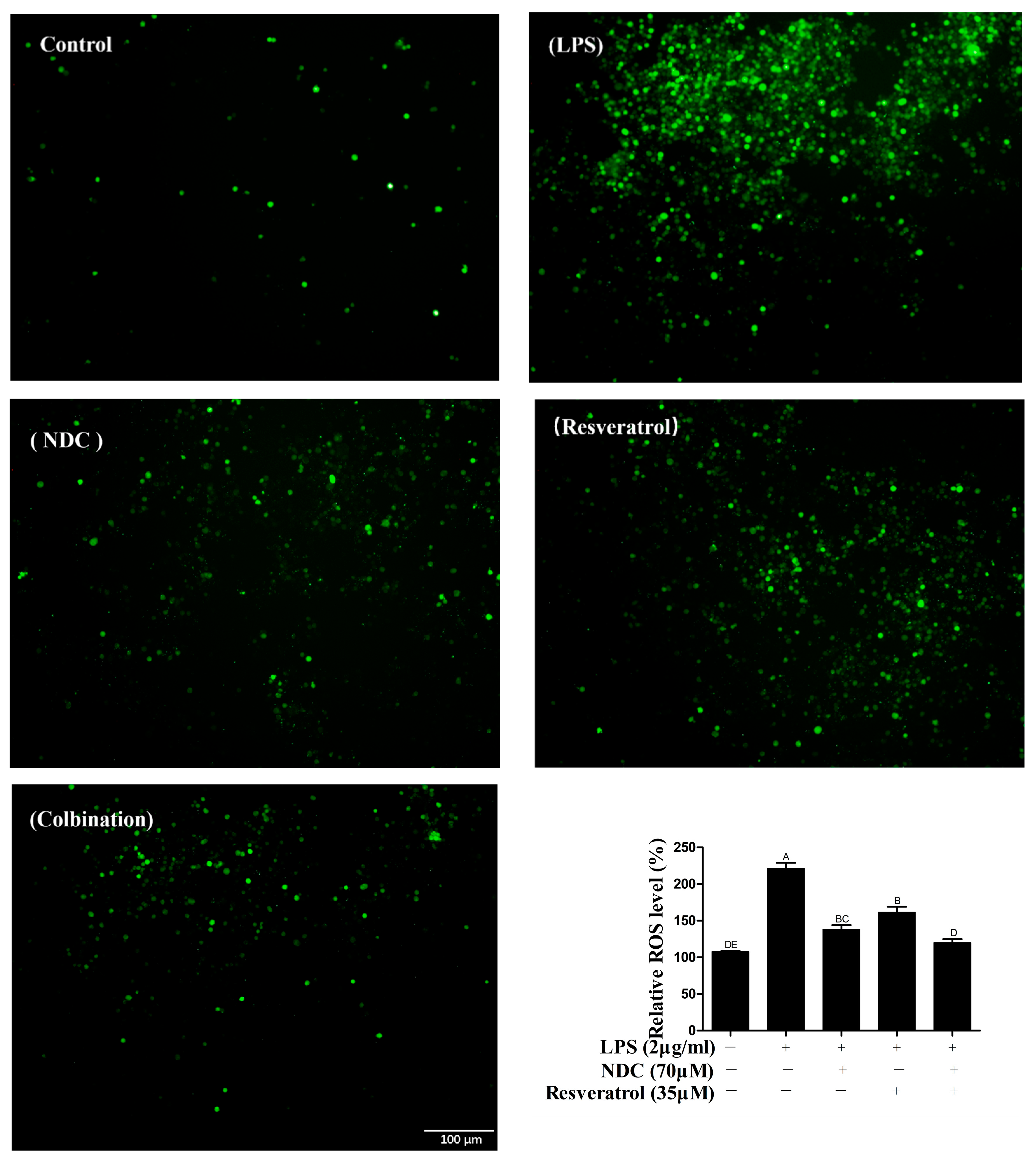 Molecules 28 03395 g006
