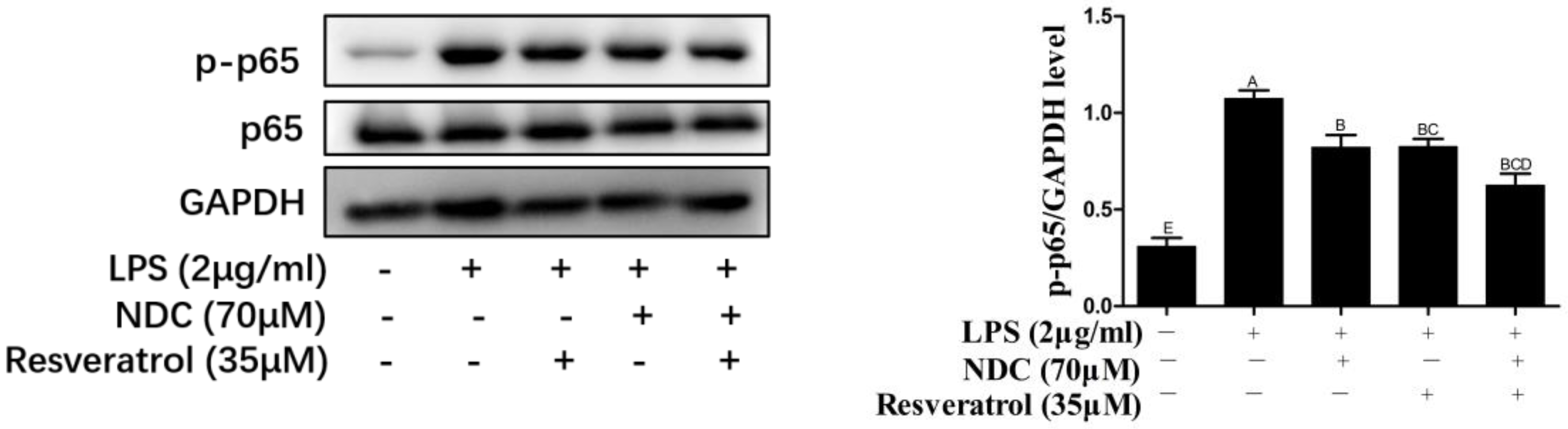 Molecules 28 03395 g008