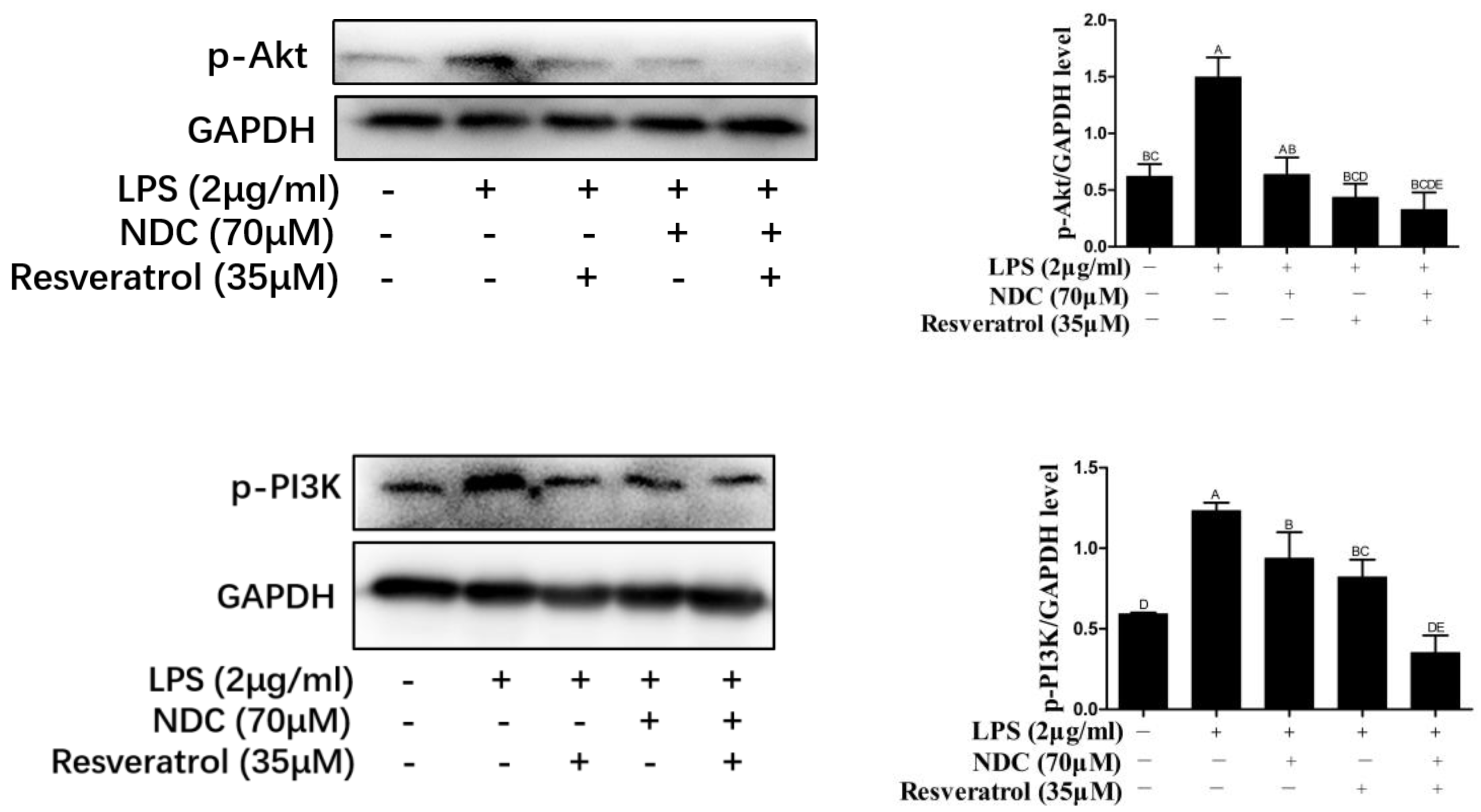 Molecules 28 03395 g010