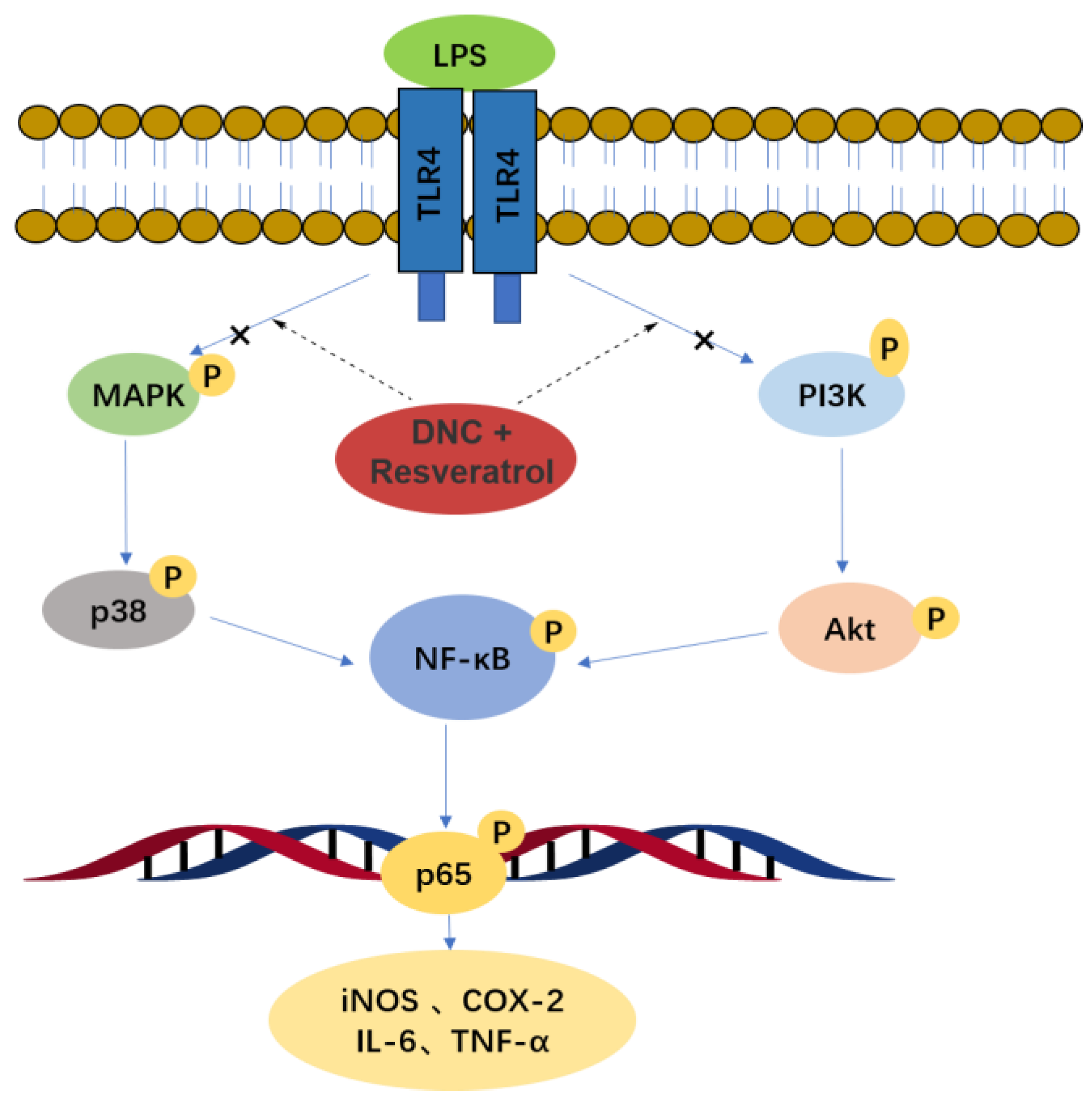 Molecules 28 03395 g011