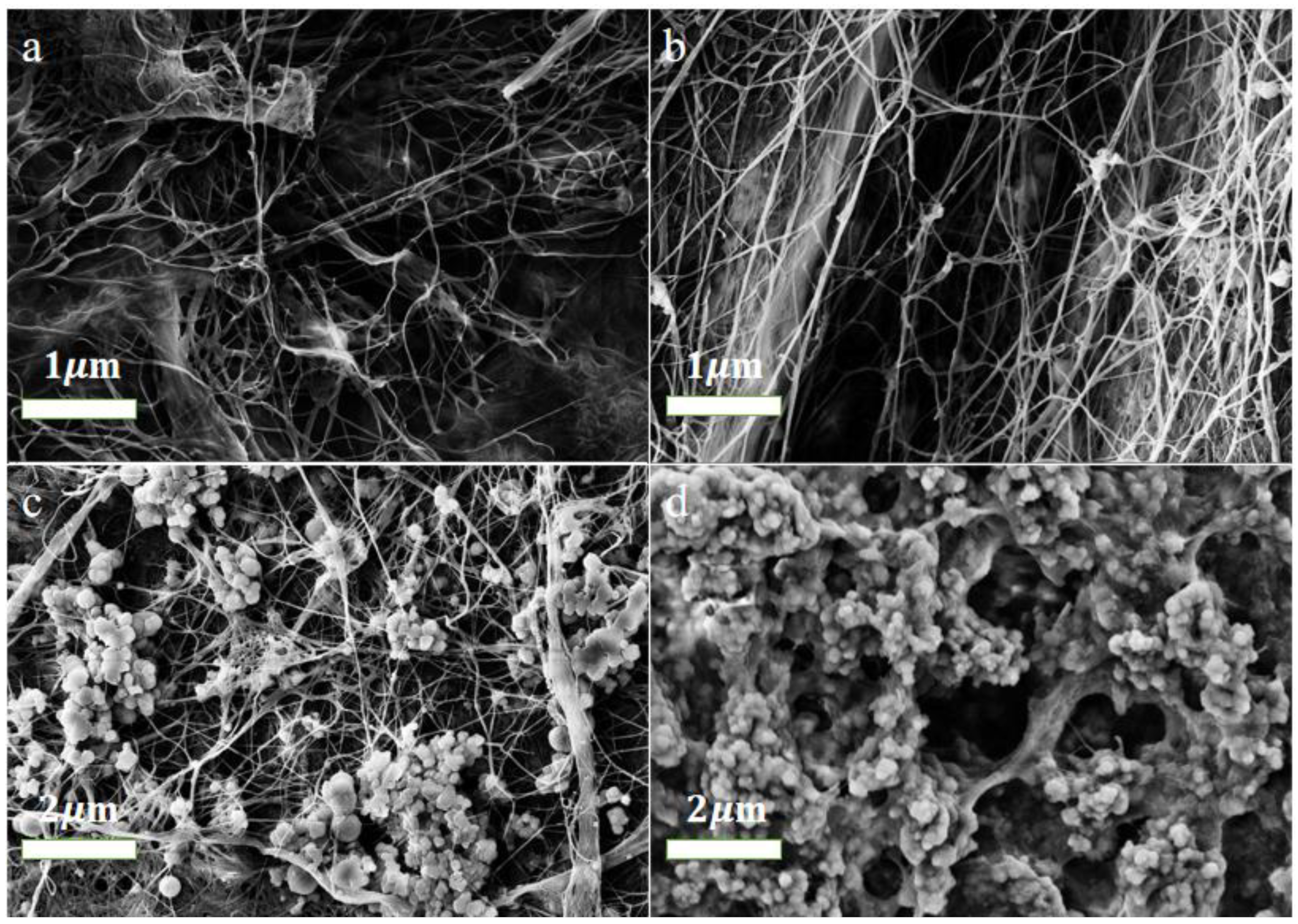 Molecules 28 03396 g001