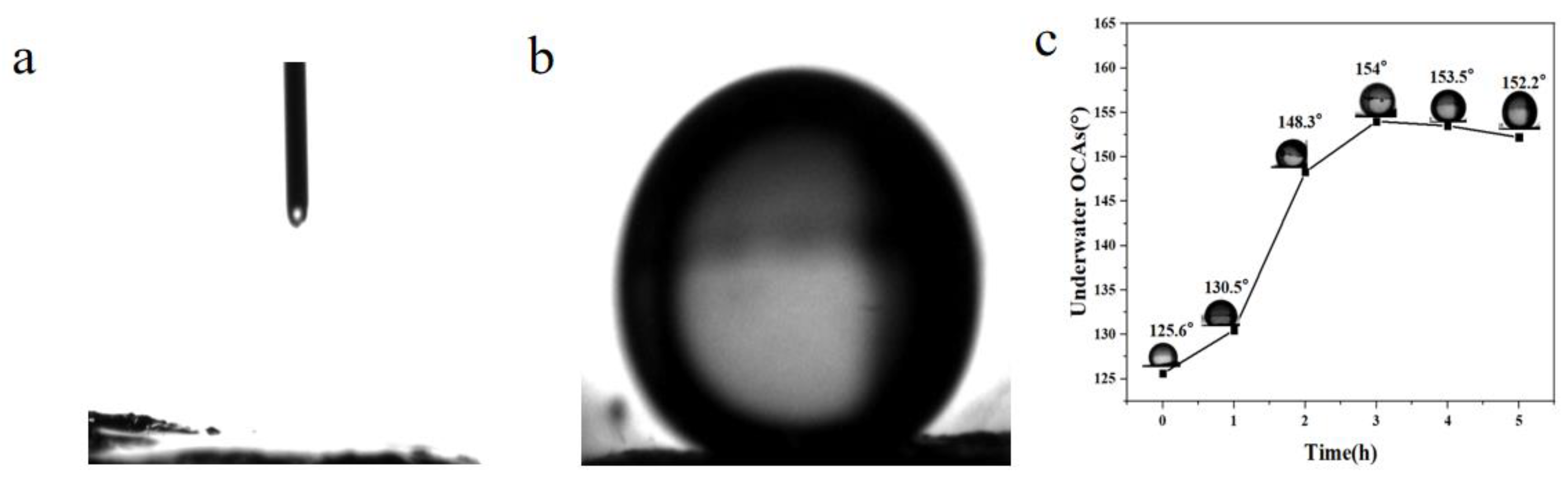 Molecules 28 03396 g006