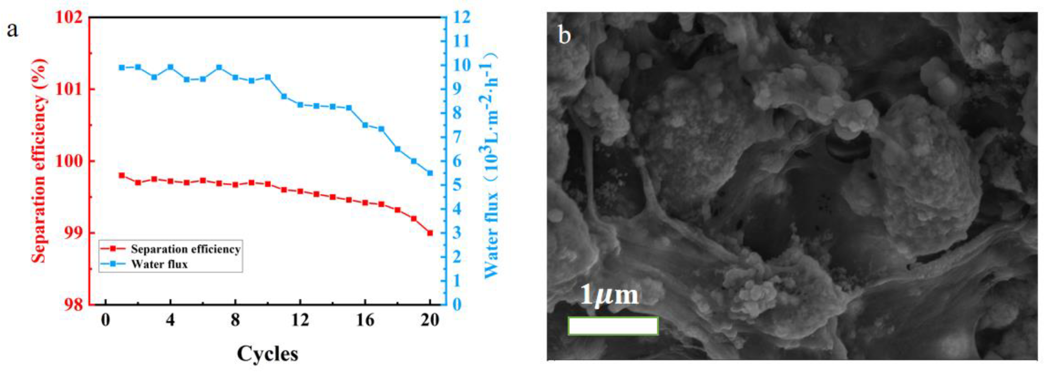 Molecules 28 03396 g008