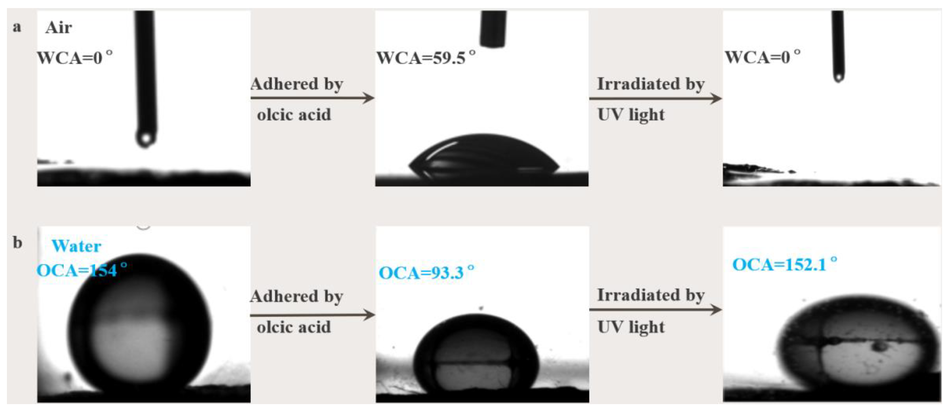 Molecules 28 03396 g009