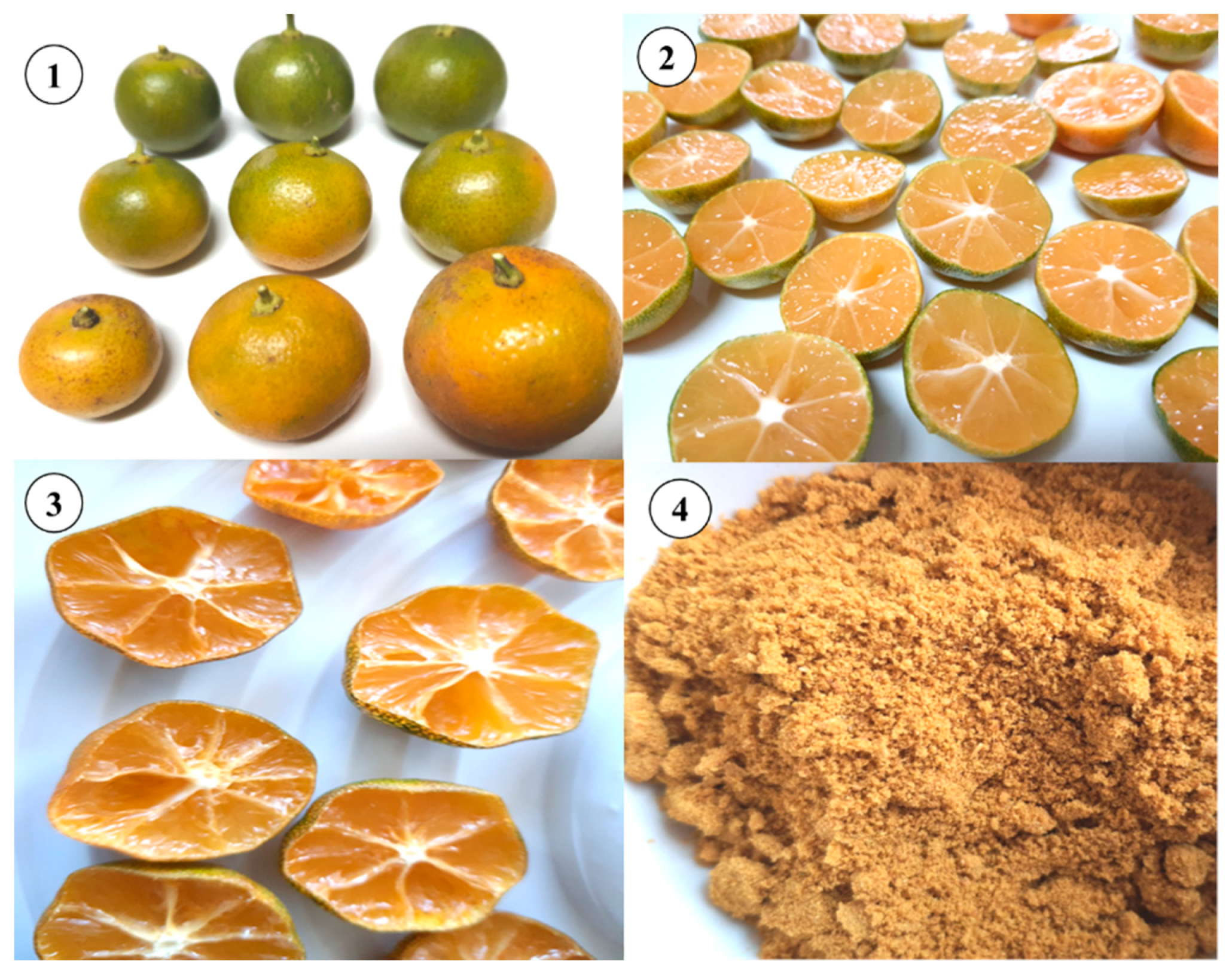 Molecules 28 03401 g004