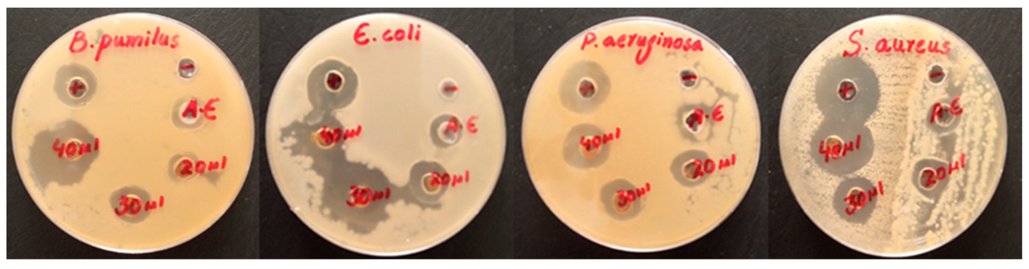 Molecules 28 03403 g006