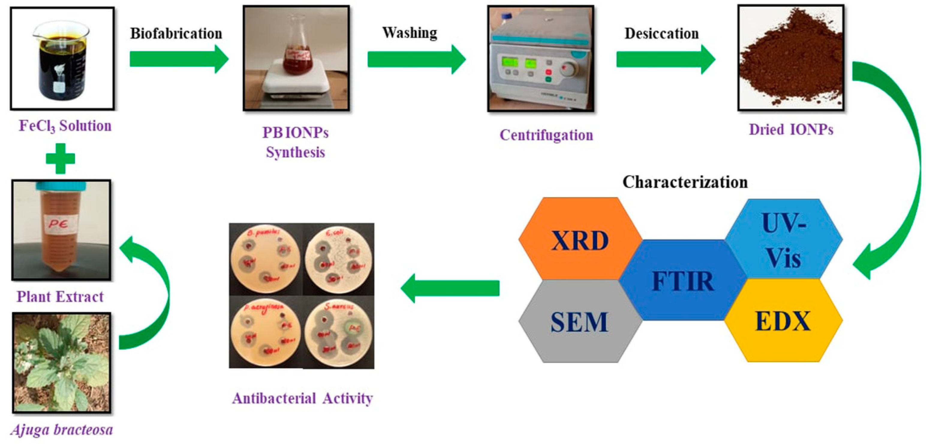 Molecules 28 03403 g010