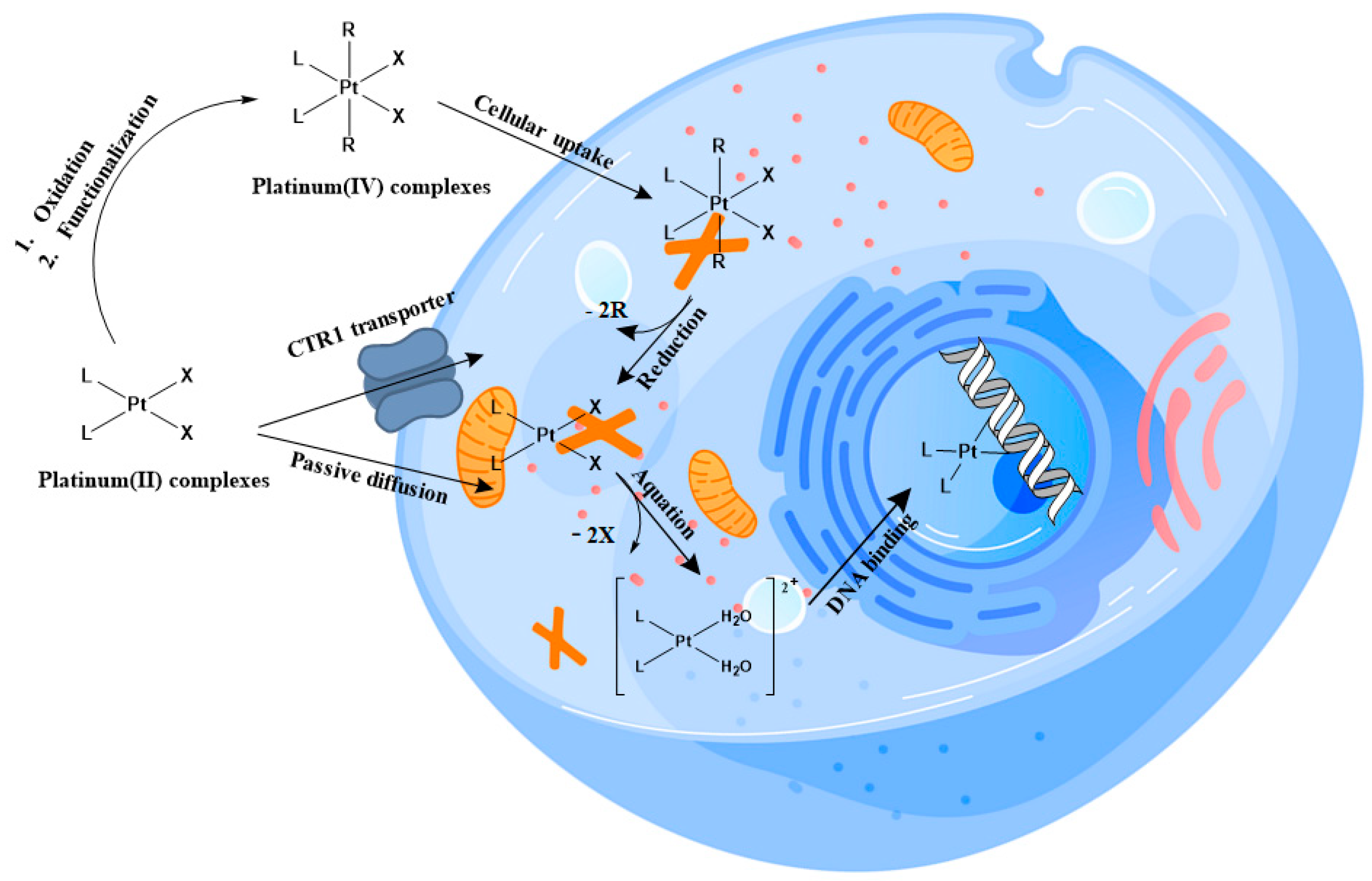 Molecules 28 03407 g001