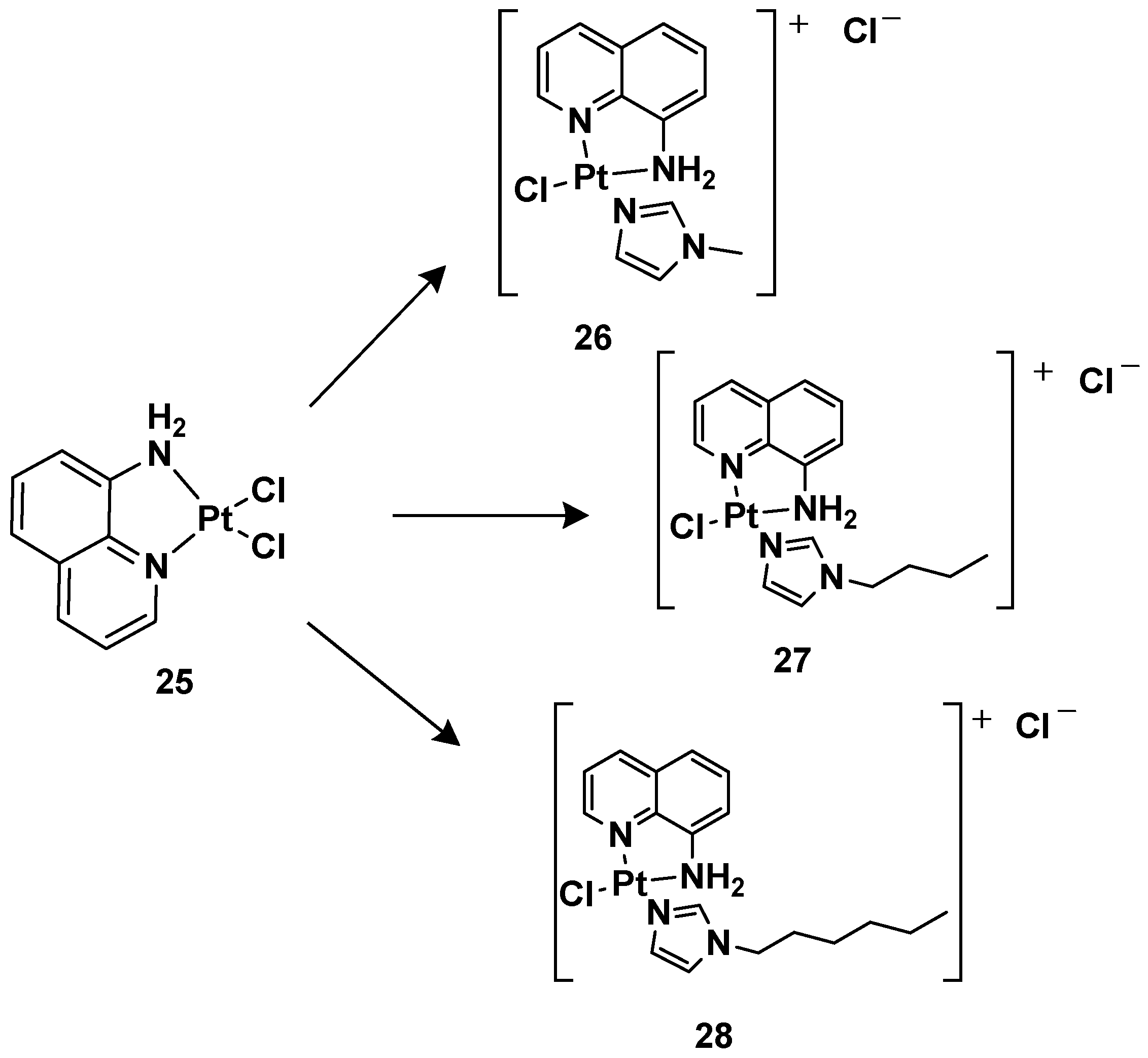 Molecules 28 03407 g012