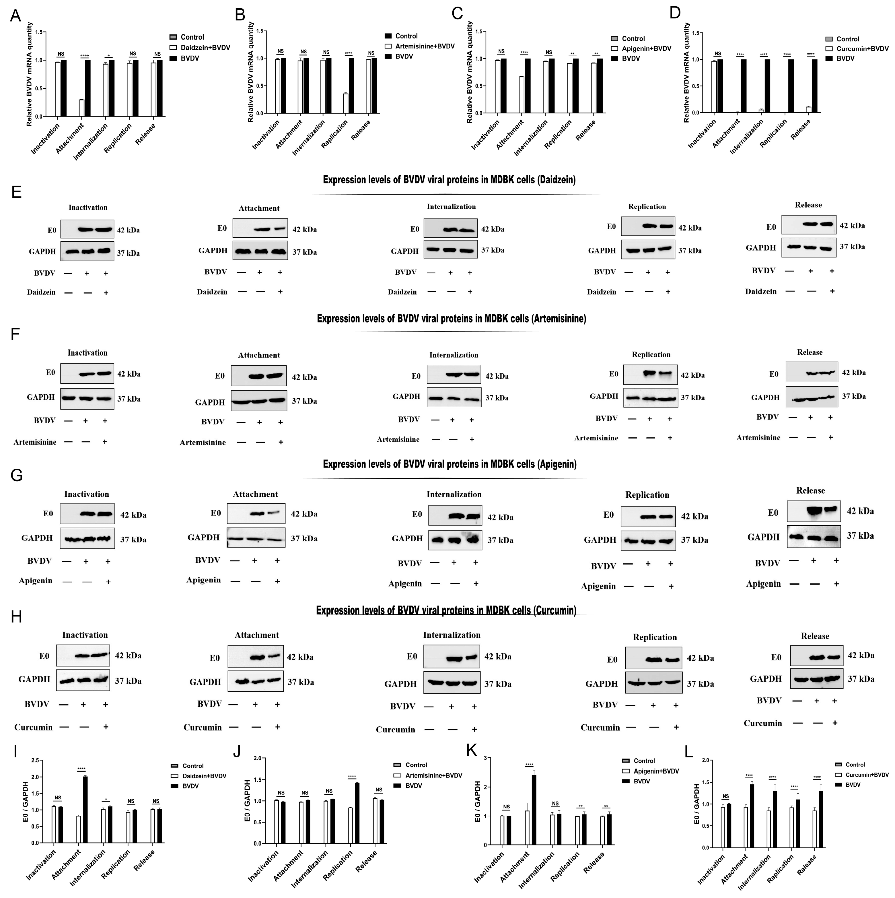 Molecules 28 03413 g006