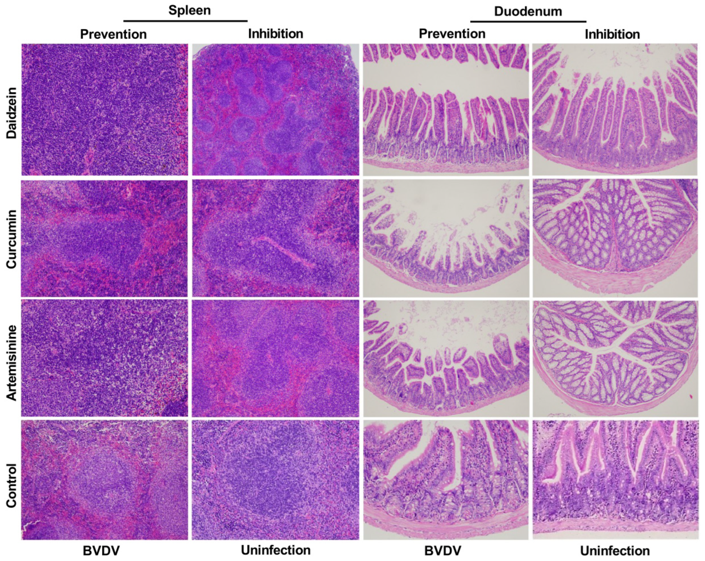 Molecules 28 03413 g009