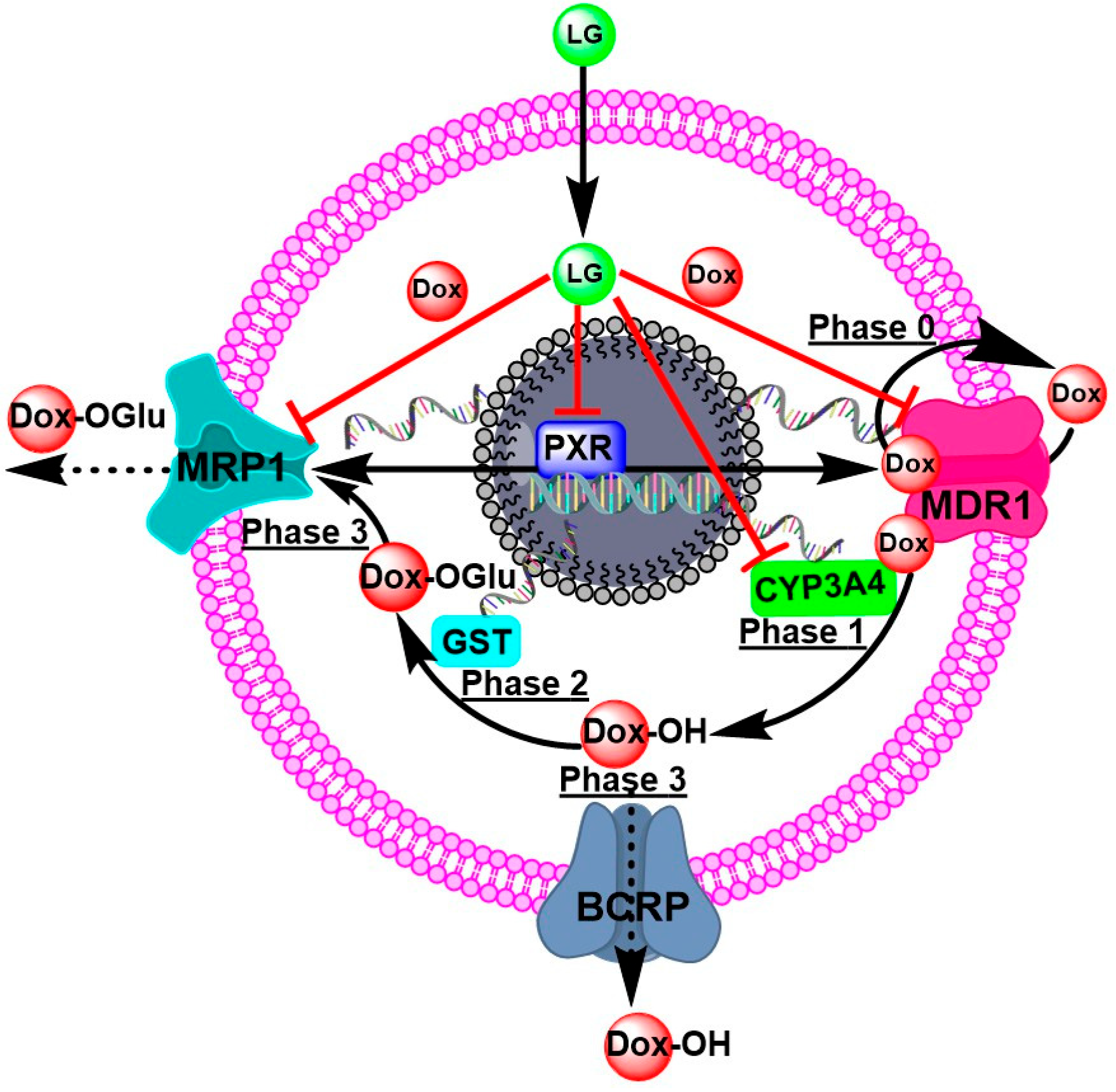 Molecules 28 03415 g006