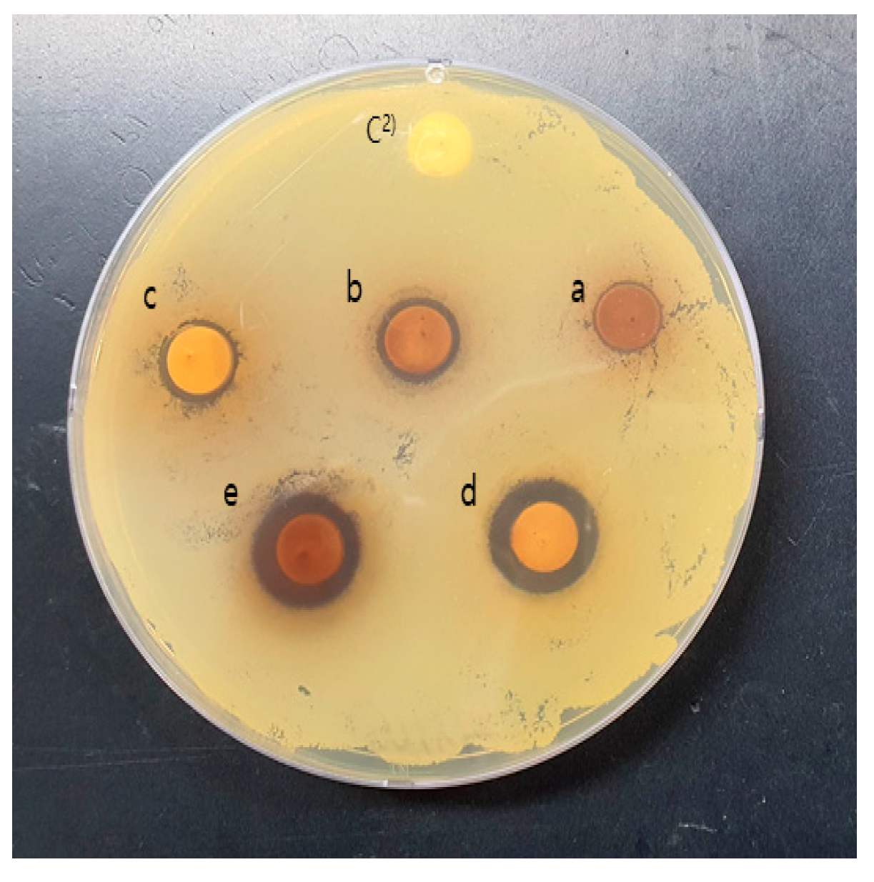 Molecules 28 03417 g002