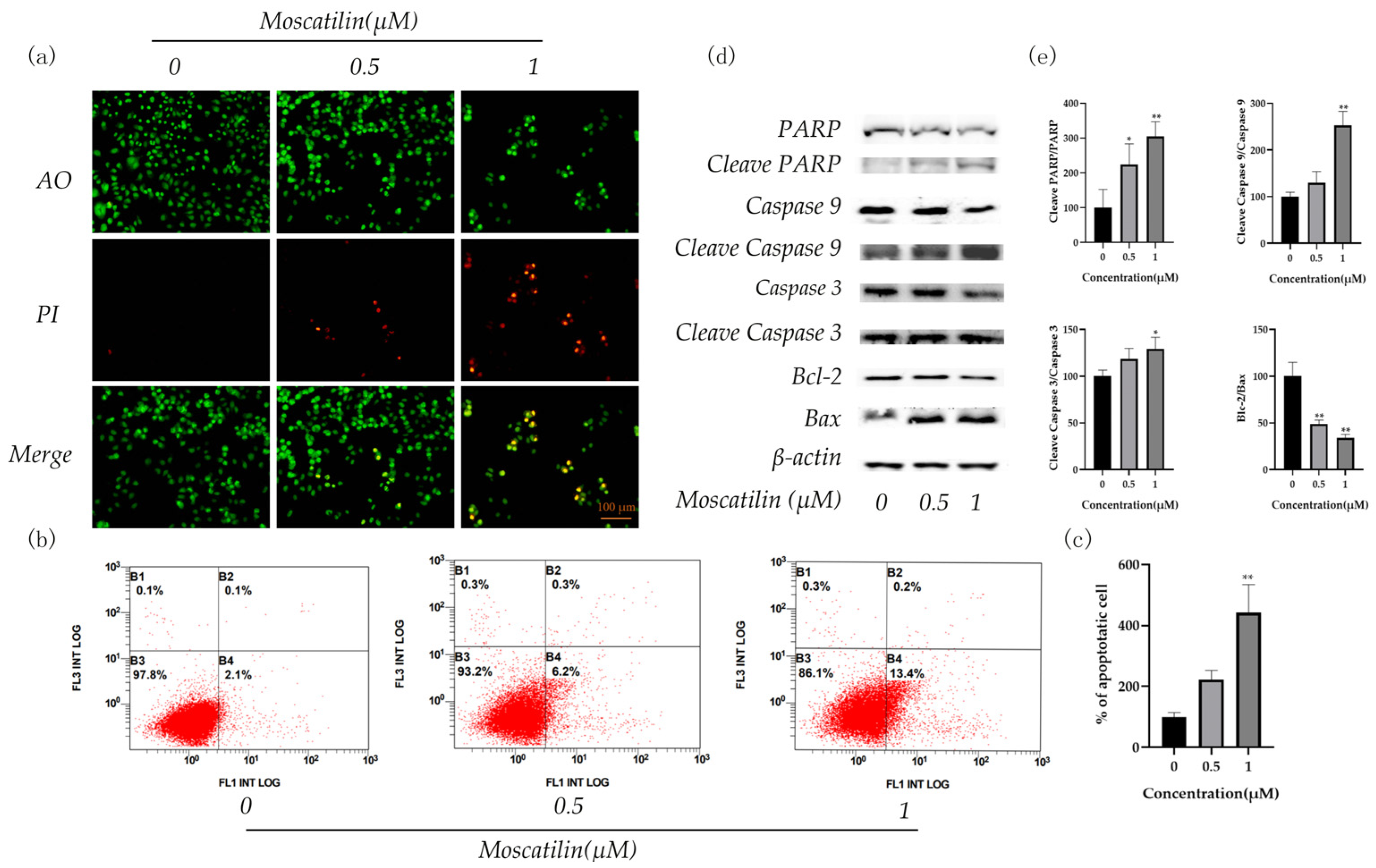Molecules 28 03423 g006 Molecules 28 03423 g006