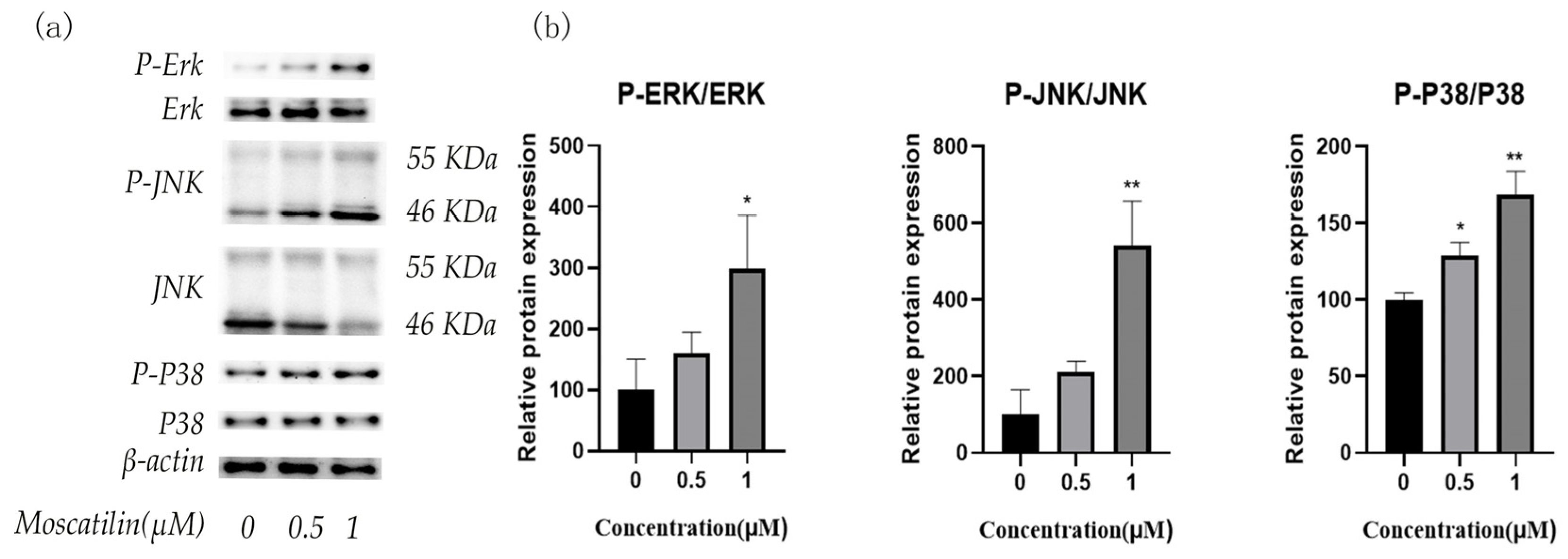 Molecules 28 03423 g007 Molecules 28 03423 g007
