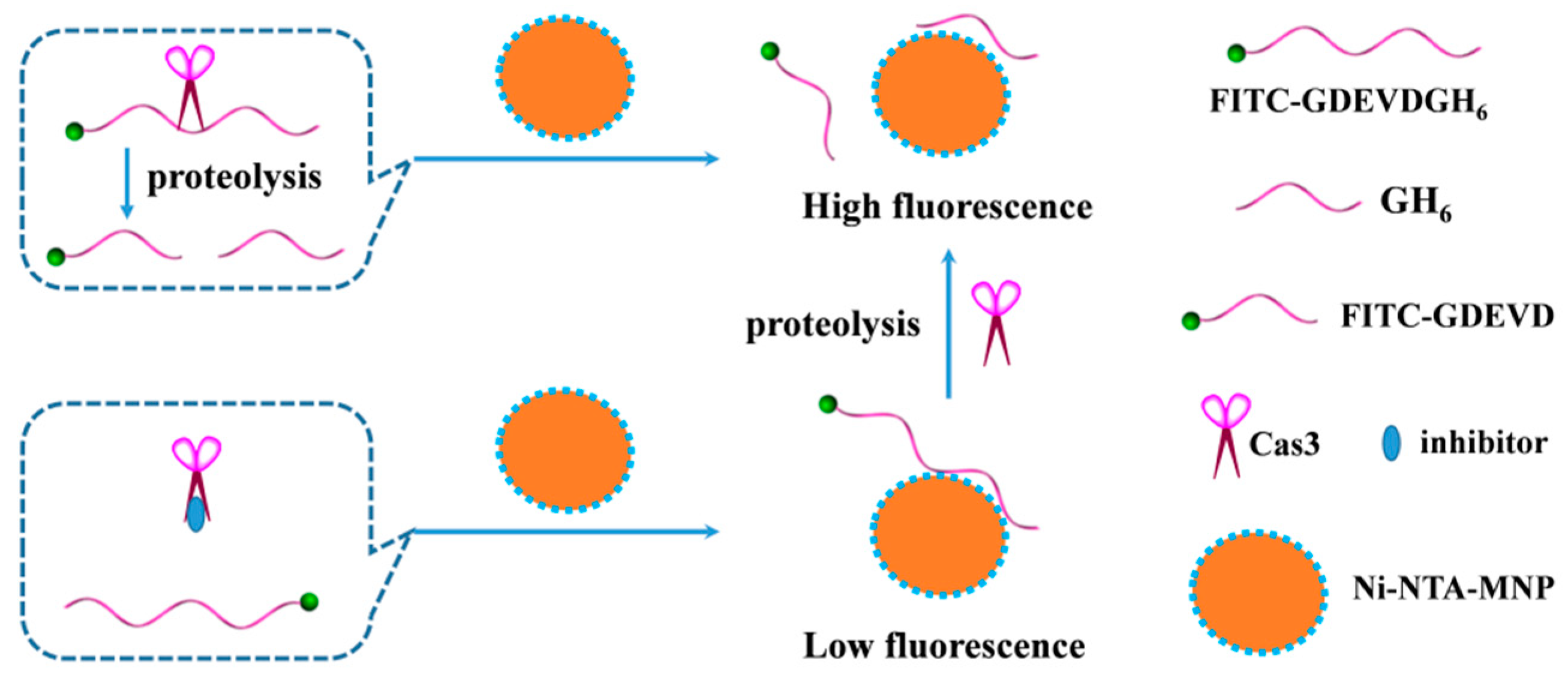 Molecules 28 03426 sch001
