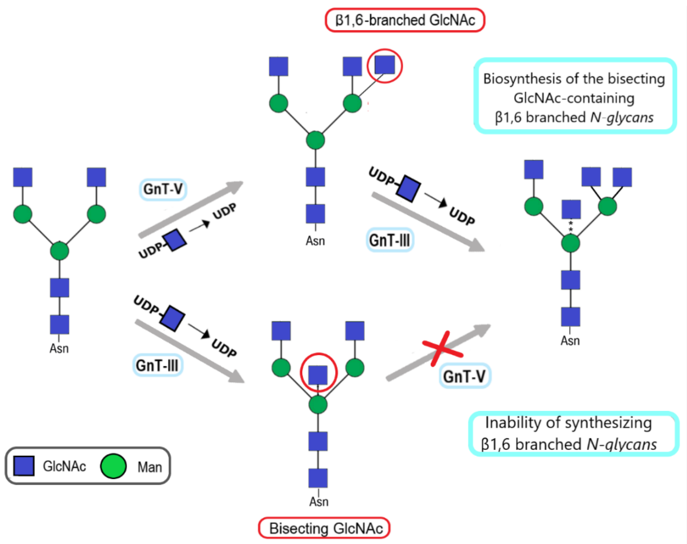 Molecules 28 03436 g003 Molecules 28 03436 g003