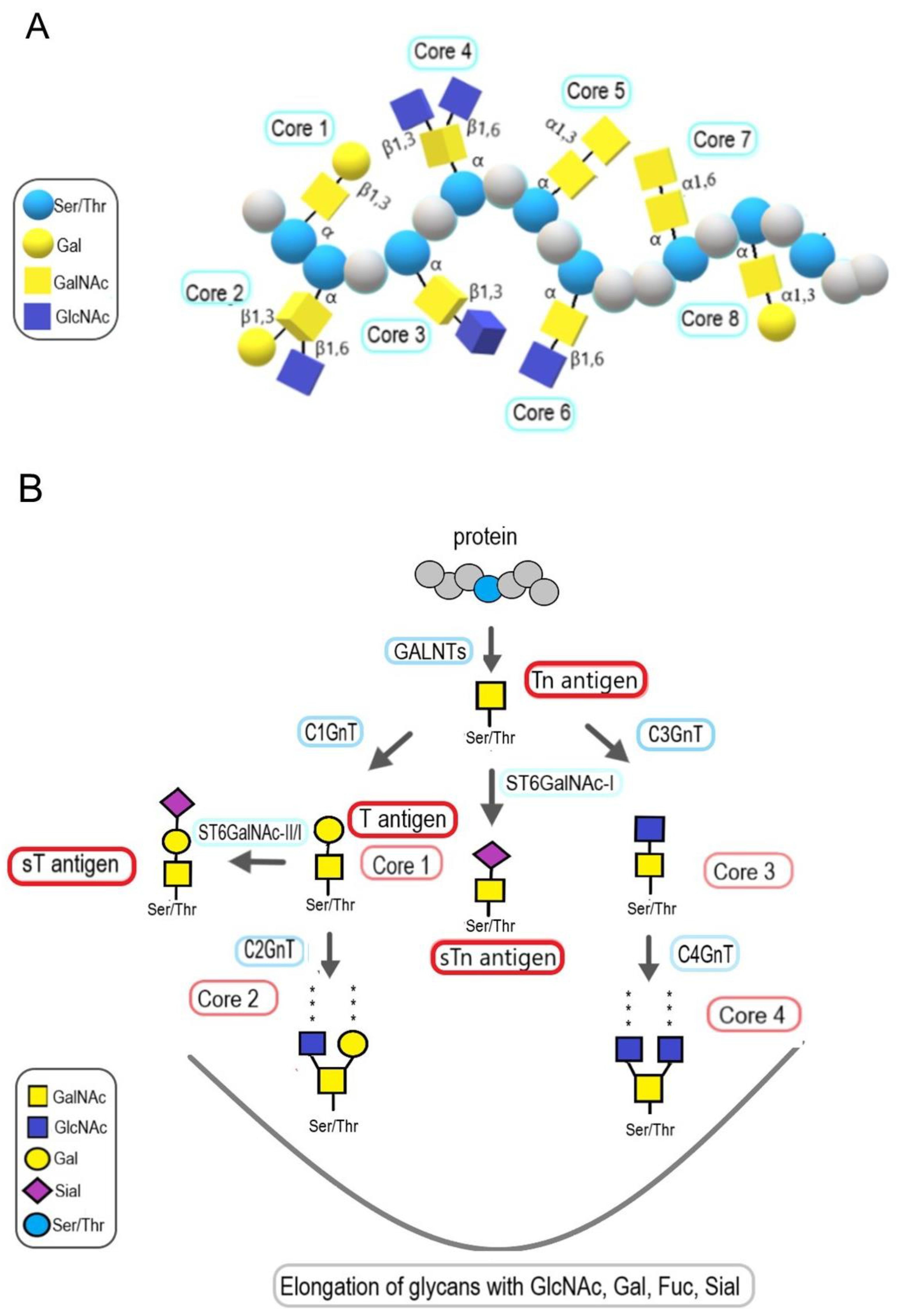 Molecules 28 03436 g005 Molecules 28 03436 g005