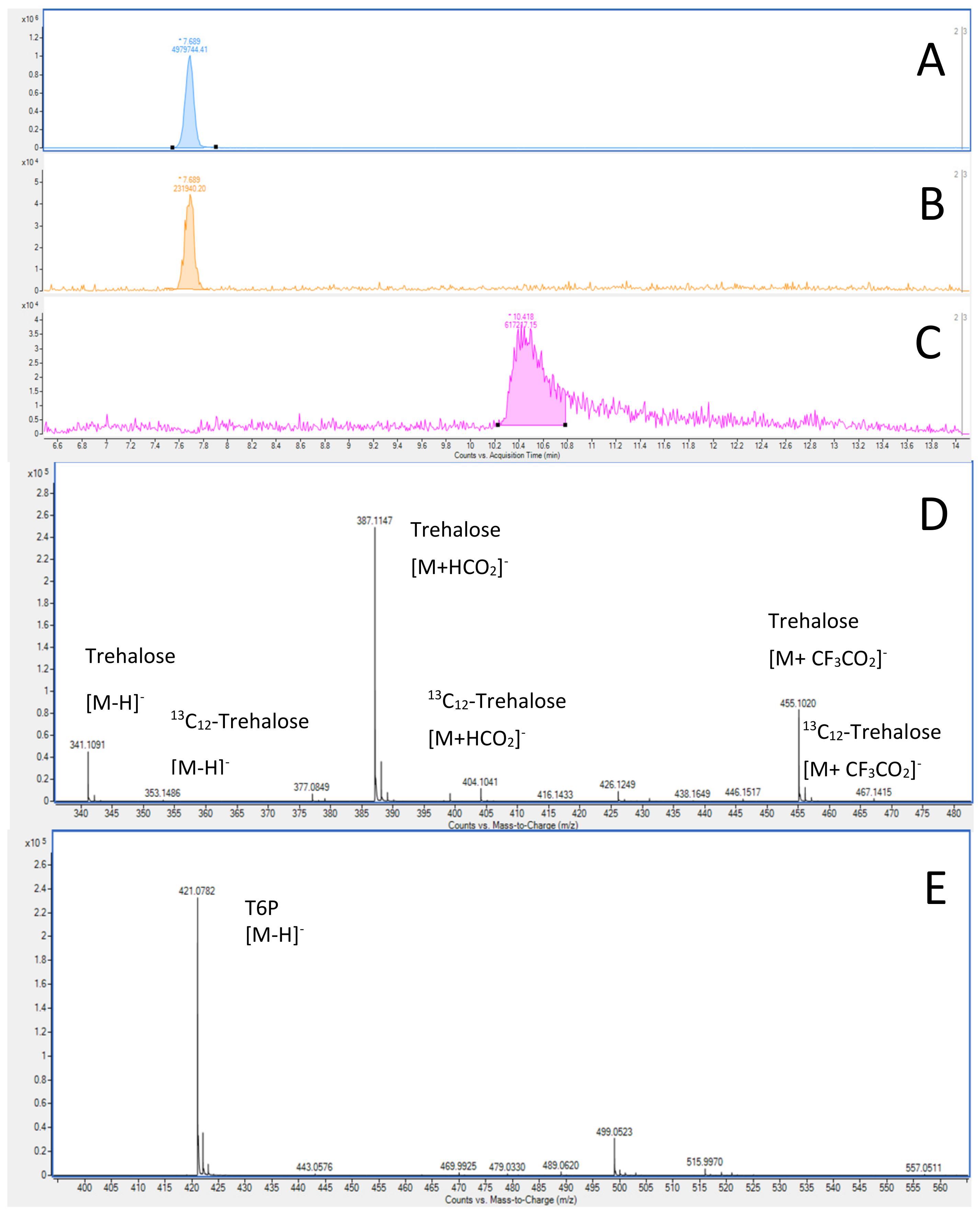 Molecules 28 03443 g003