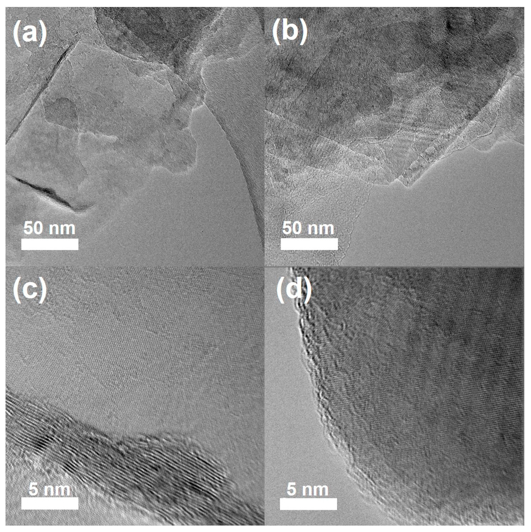 Molecules 28 03444 g005
