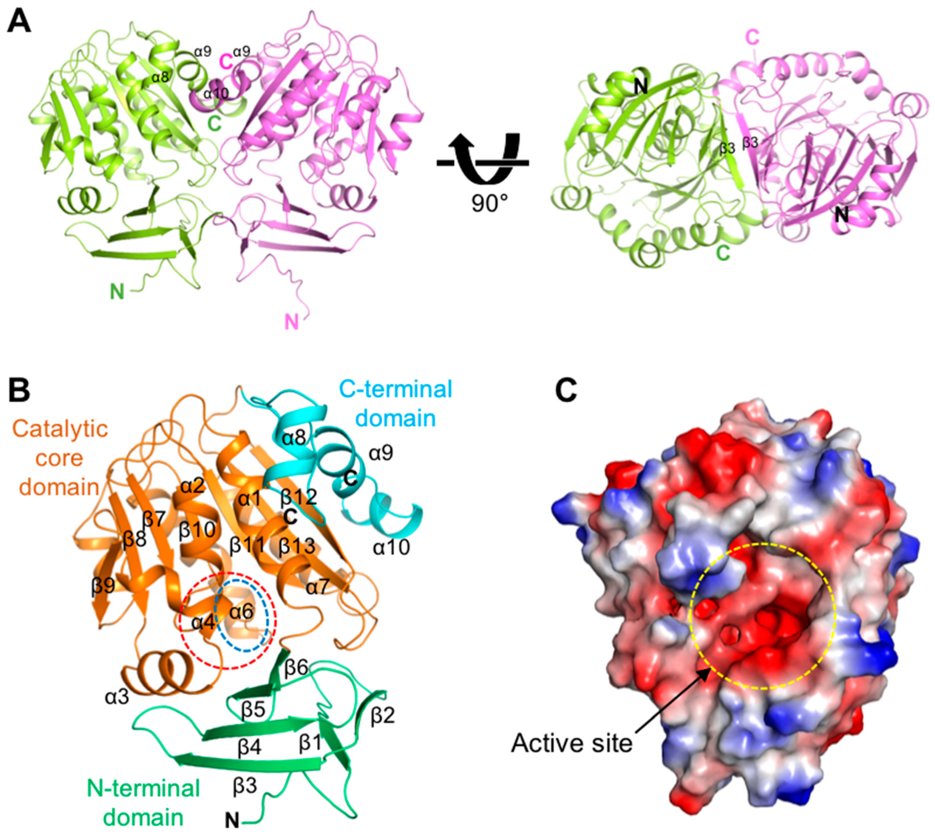 Molecules 28 03446 g001 Molecules 28 03446 g001