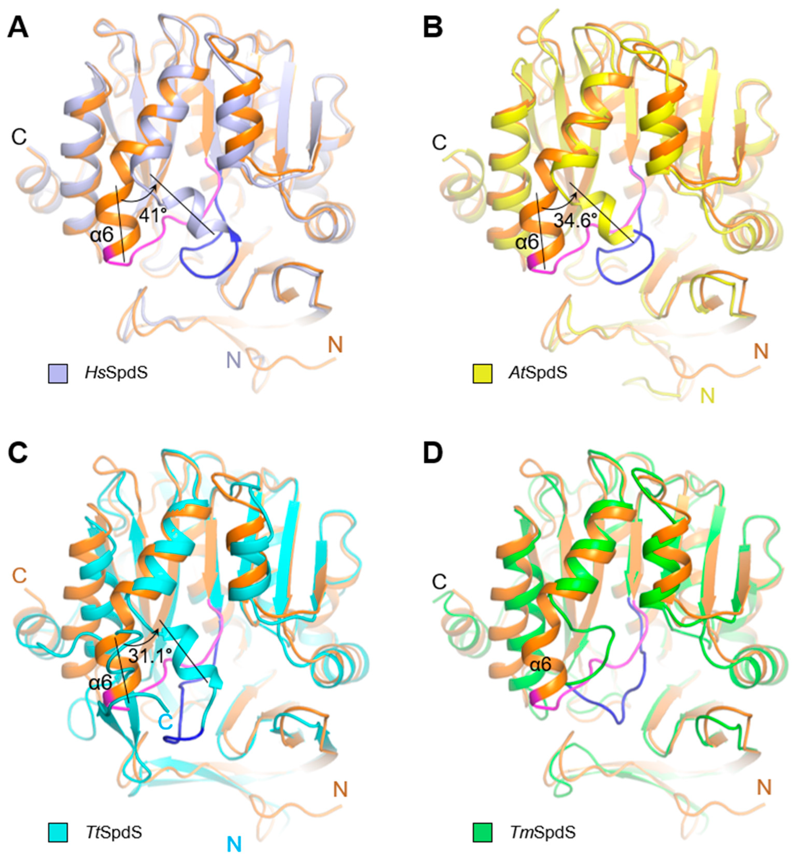 Molecules 28 03446 g002 Molecules 28 03446 g002