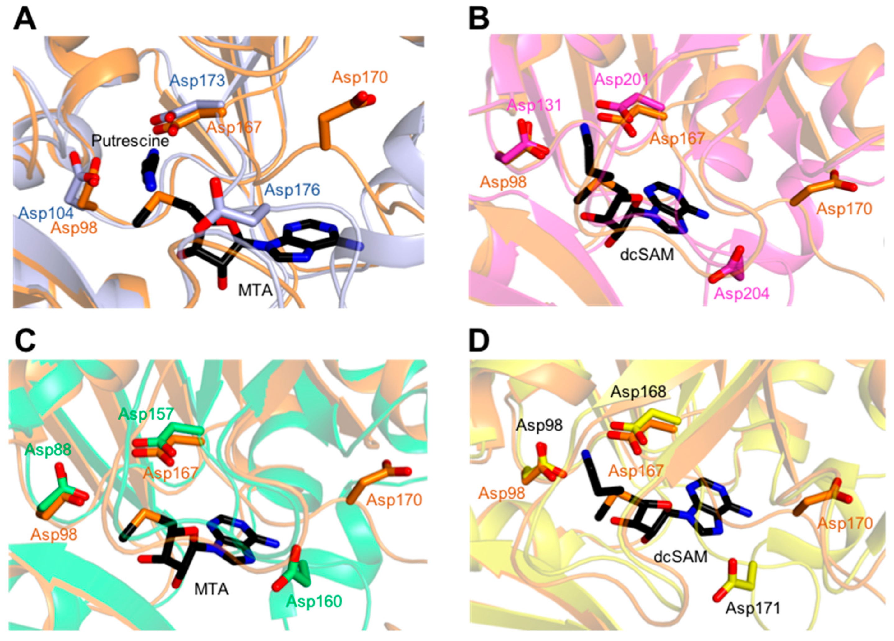 Molecules 28 03446 g003 Molecules 28 03446 g003