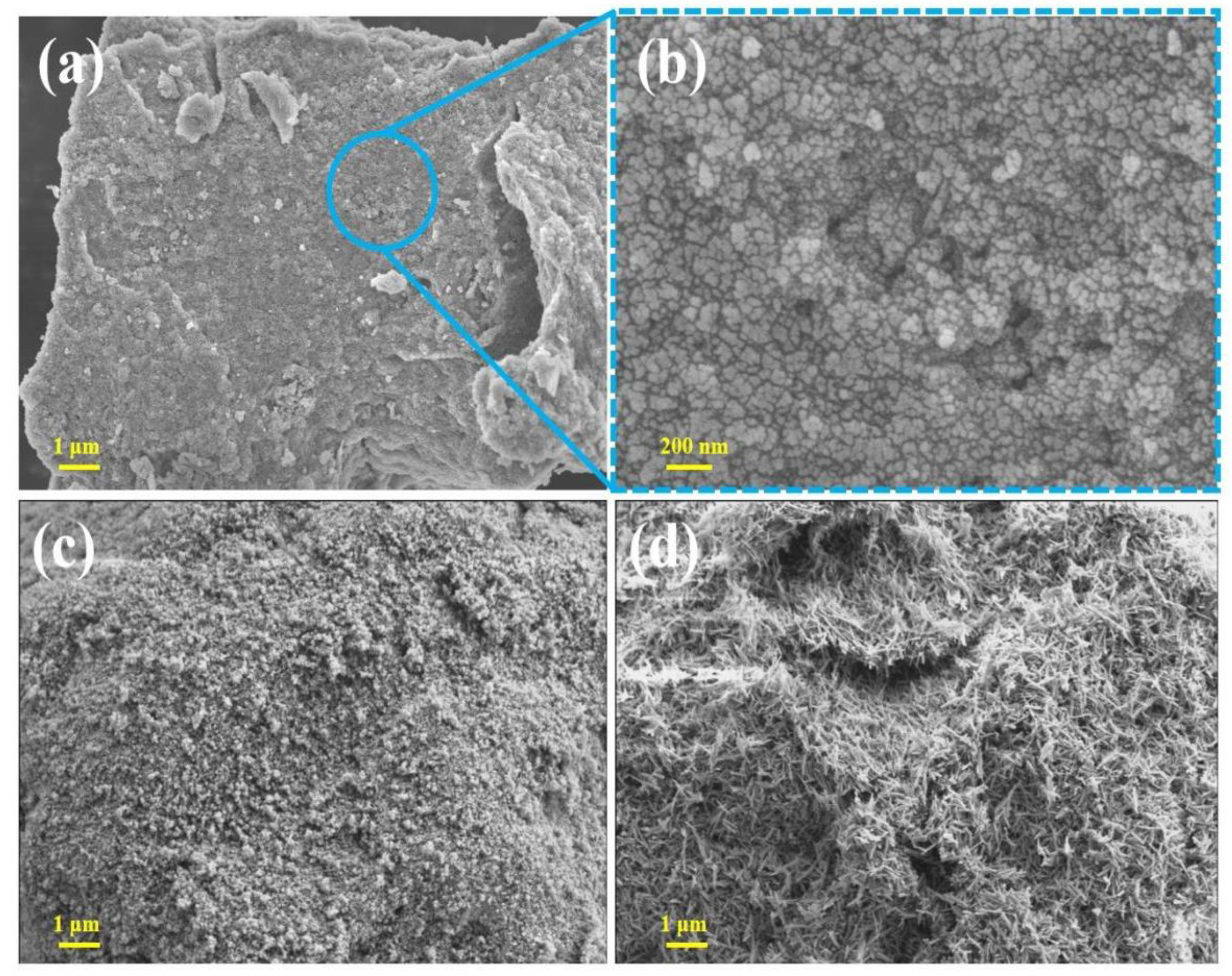 Molecules 28 03448 g001 Molecules 28 03448 g001