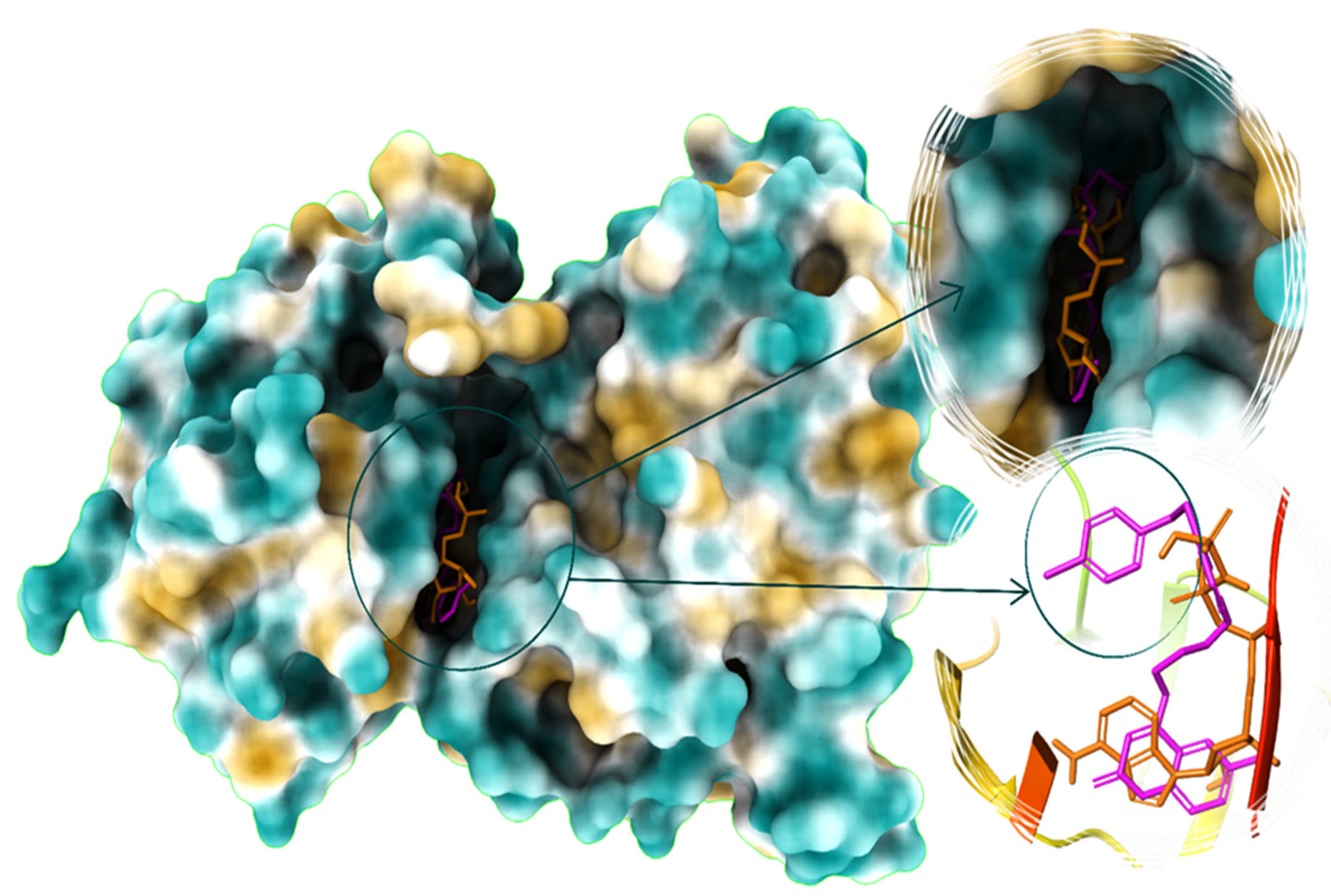 Molecules 28 03450 g006 Molecules 28 03450 g006