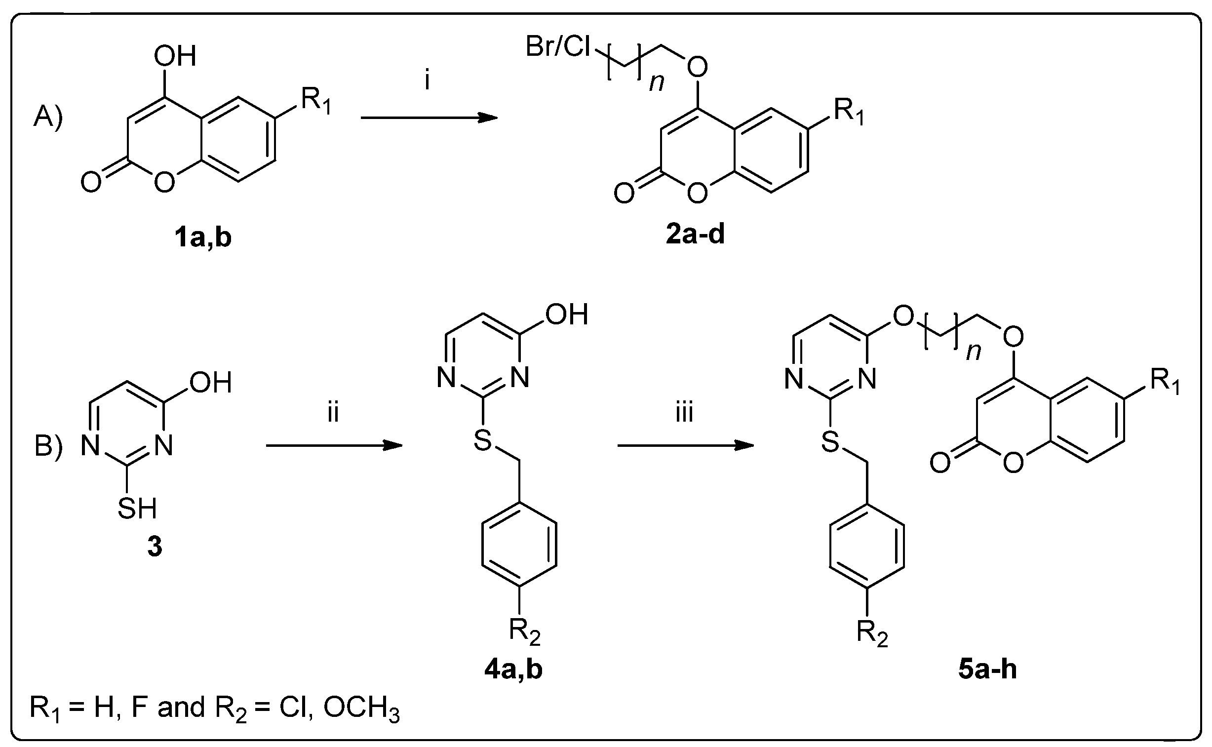 Molecules 28 03450 sch001 Molecules 28 03450 sch001