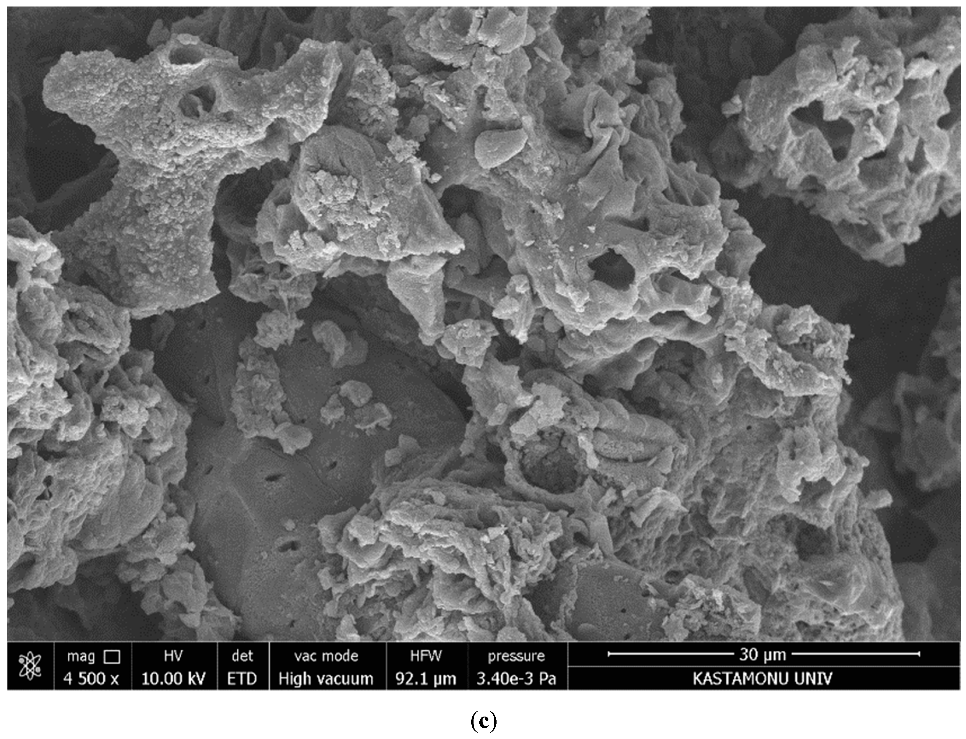 Molecules 28 03453 g002b Molecules 28 03453 g002b