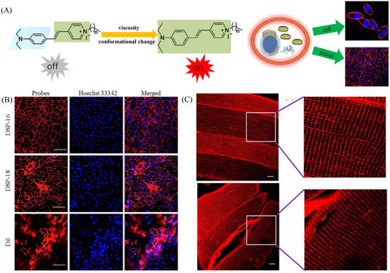 Organic Fluorescent Probes for Monitoring Micro-Environments in Living ...