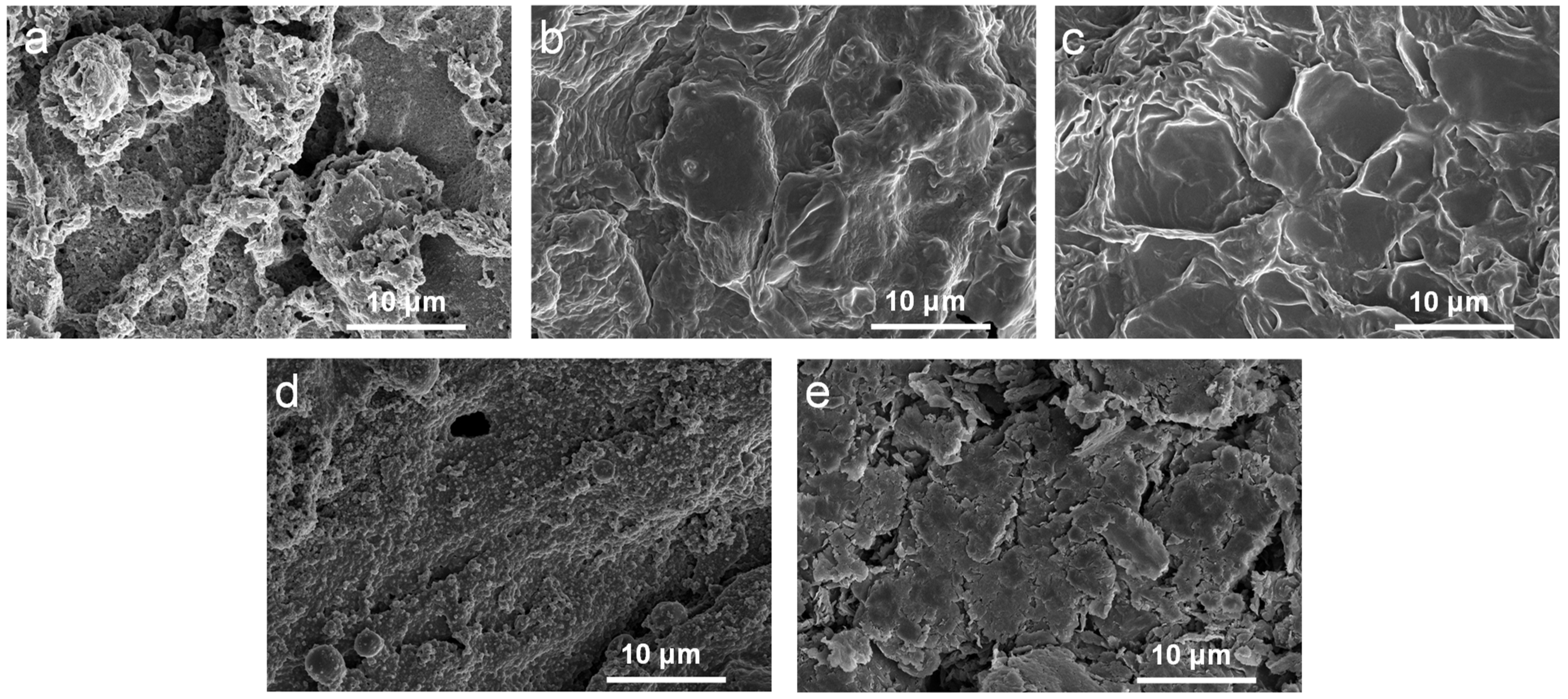 Molecules 28 03464 g004