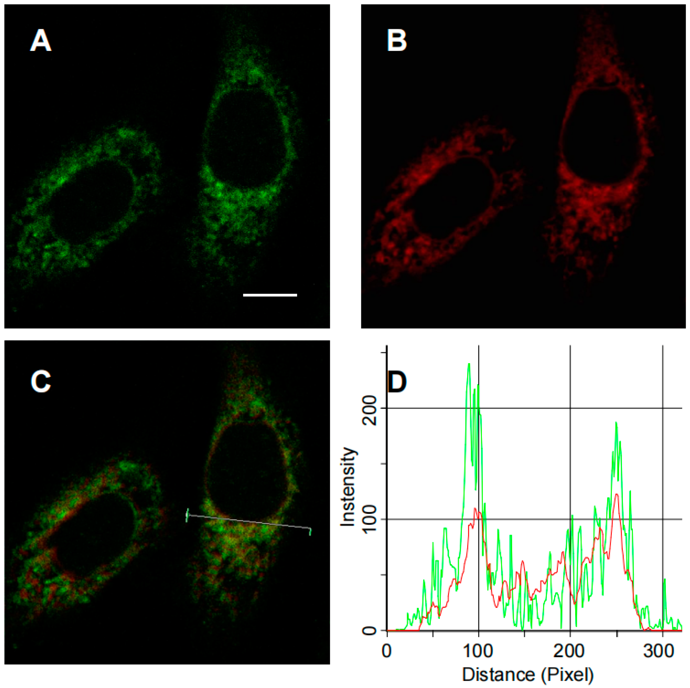 Molecules 28 03472 g003 Molecules 28 03472 g003