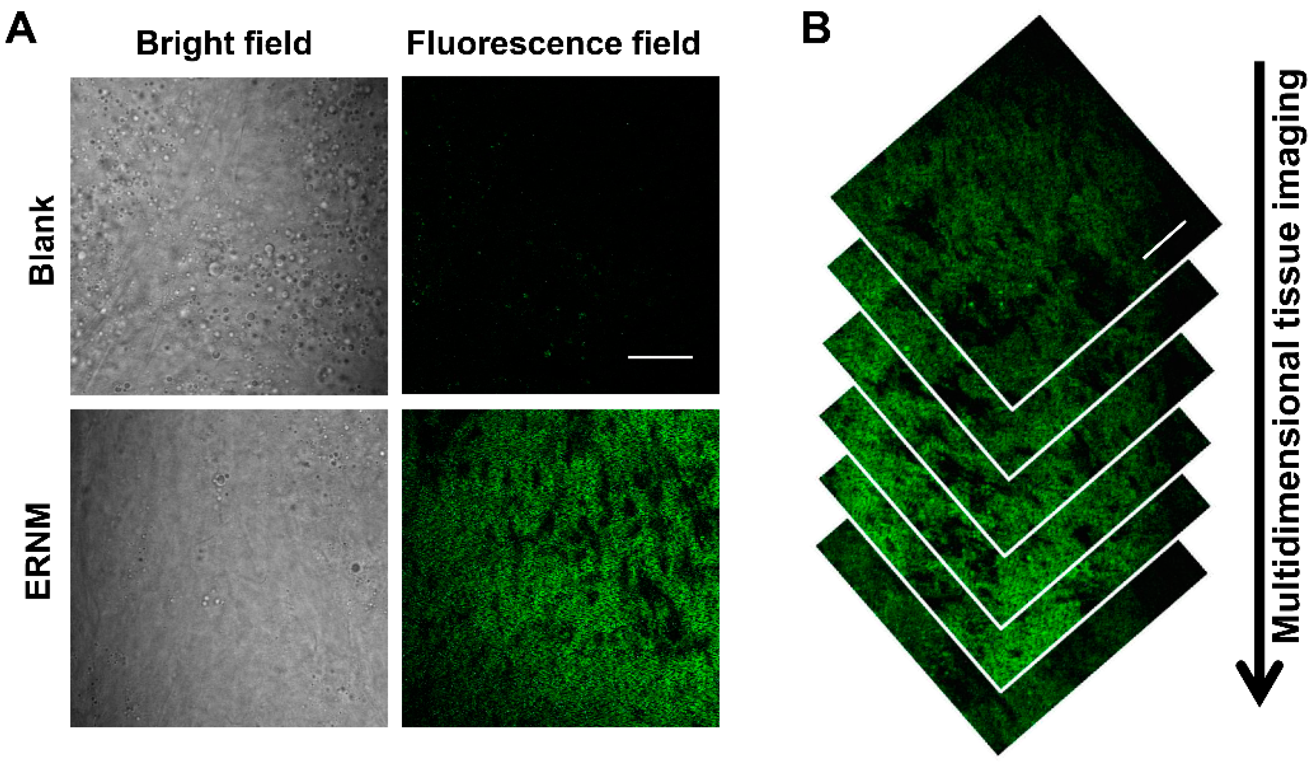 Molecules 28 03472 g004 Molecules 28 03472 g004