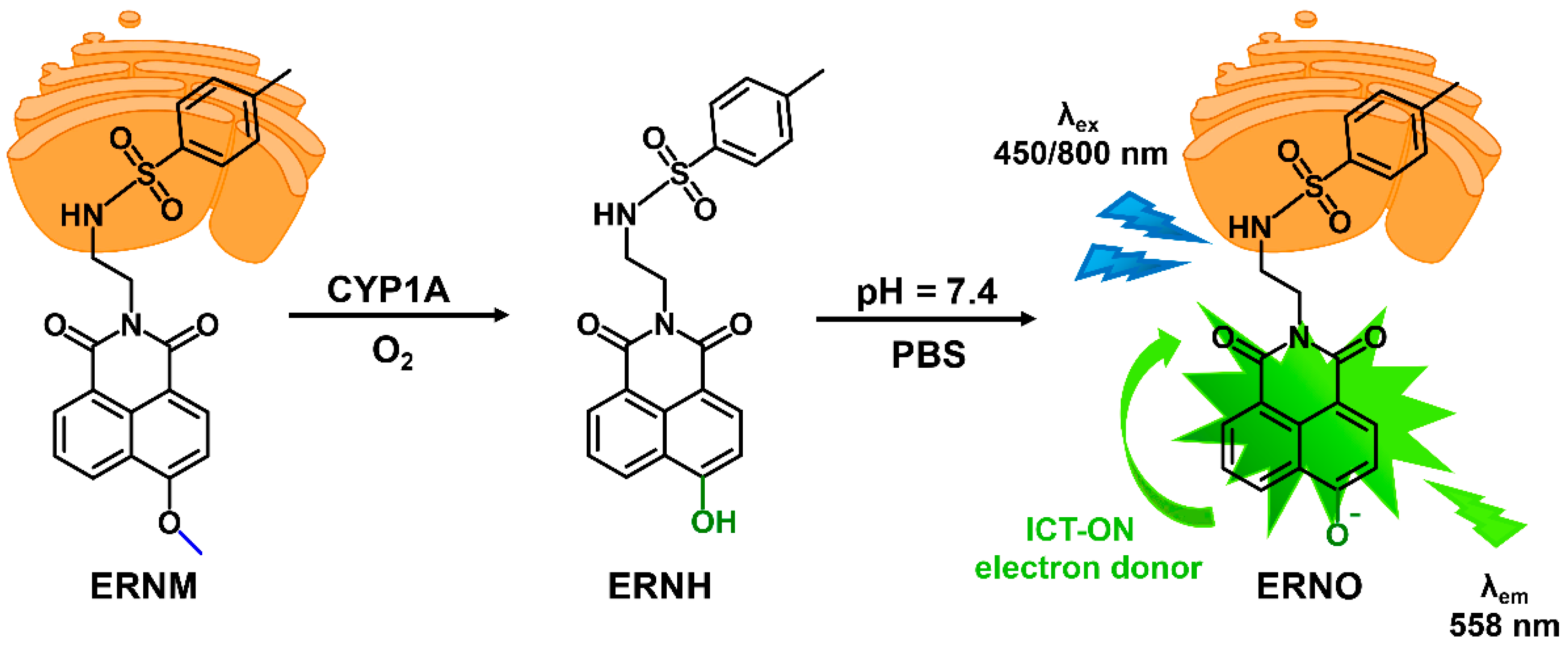 Molecules 28 03472 sch001 Molecules 28 03472 sch001