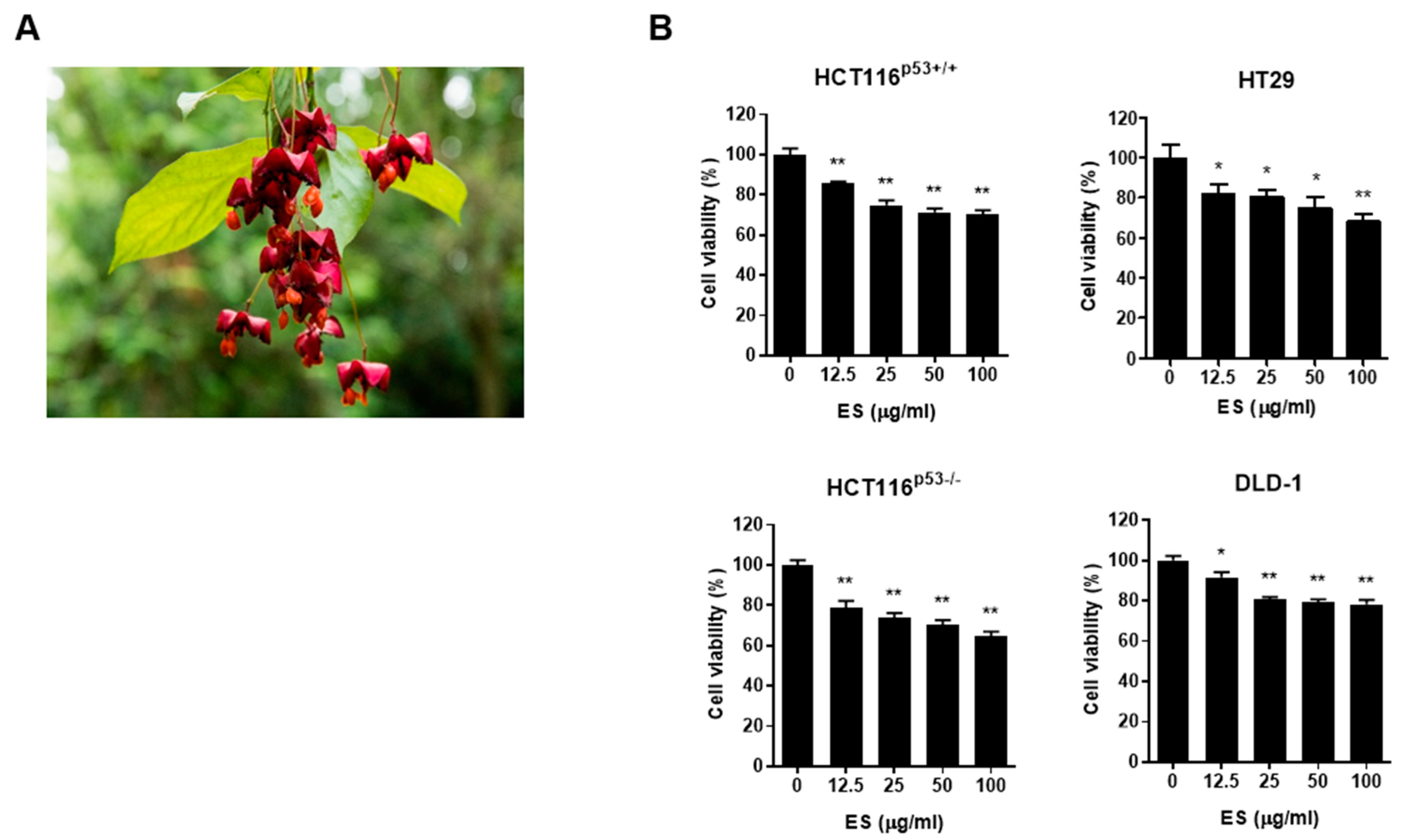 Molecules 28 03473 g001