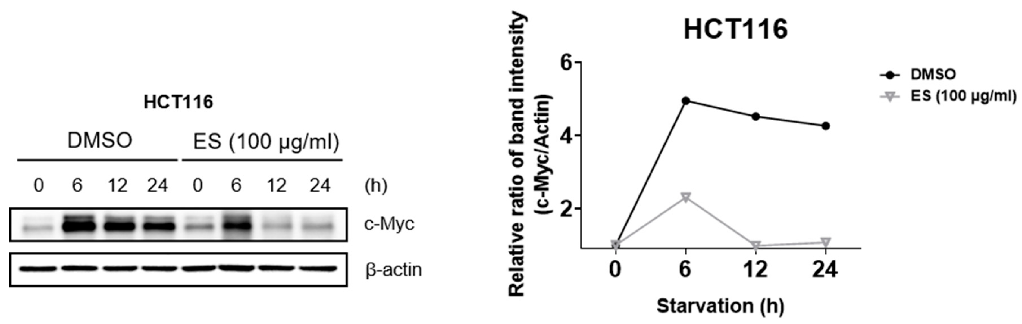Molecules 28 03473 g004