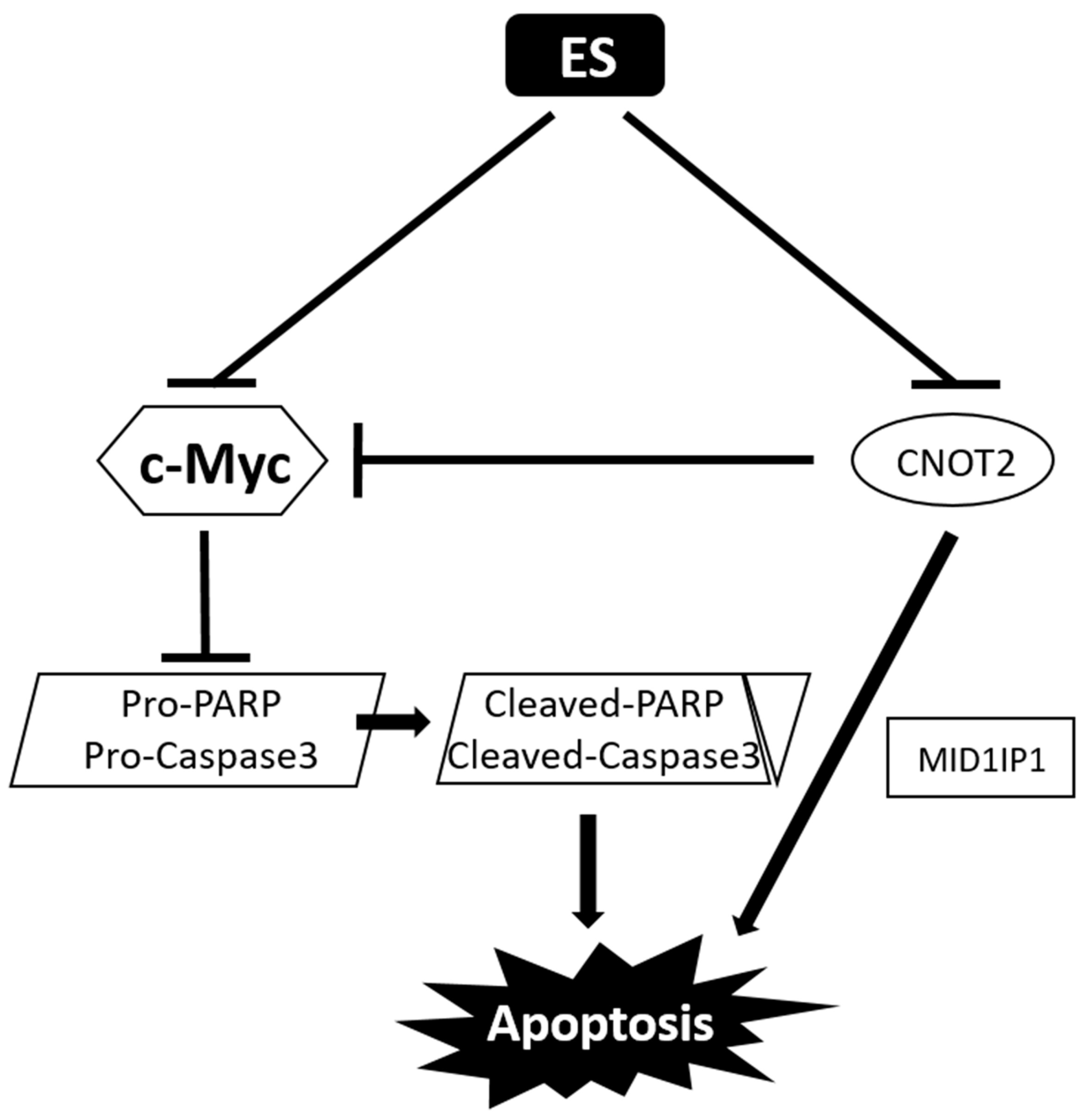 Molecules 28 03473 g008