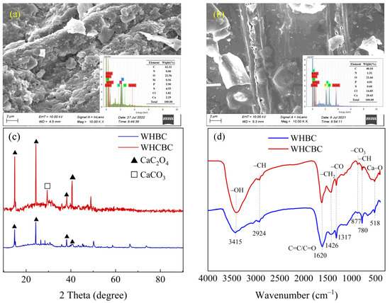 Efficient Adsorption of Tebuconazole in Aqueous Solution by Calcium Modified Water Hyacinth-Based Biochar: Adsorption Kinetics, Mechanism, and Feasibility Efficient Adsorption of Tebuconazole in Aqueous Solution by Calcium Modified Water Hyacinth-Based Biochar: Adsorption Kinetics, Mechanism, and Feasibility