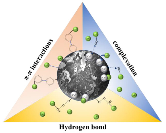 Efficient Adsorption of Tebuconazole in Aqueous Solution by
