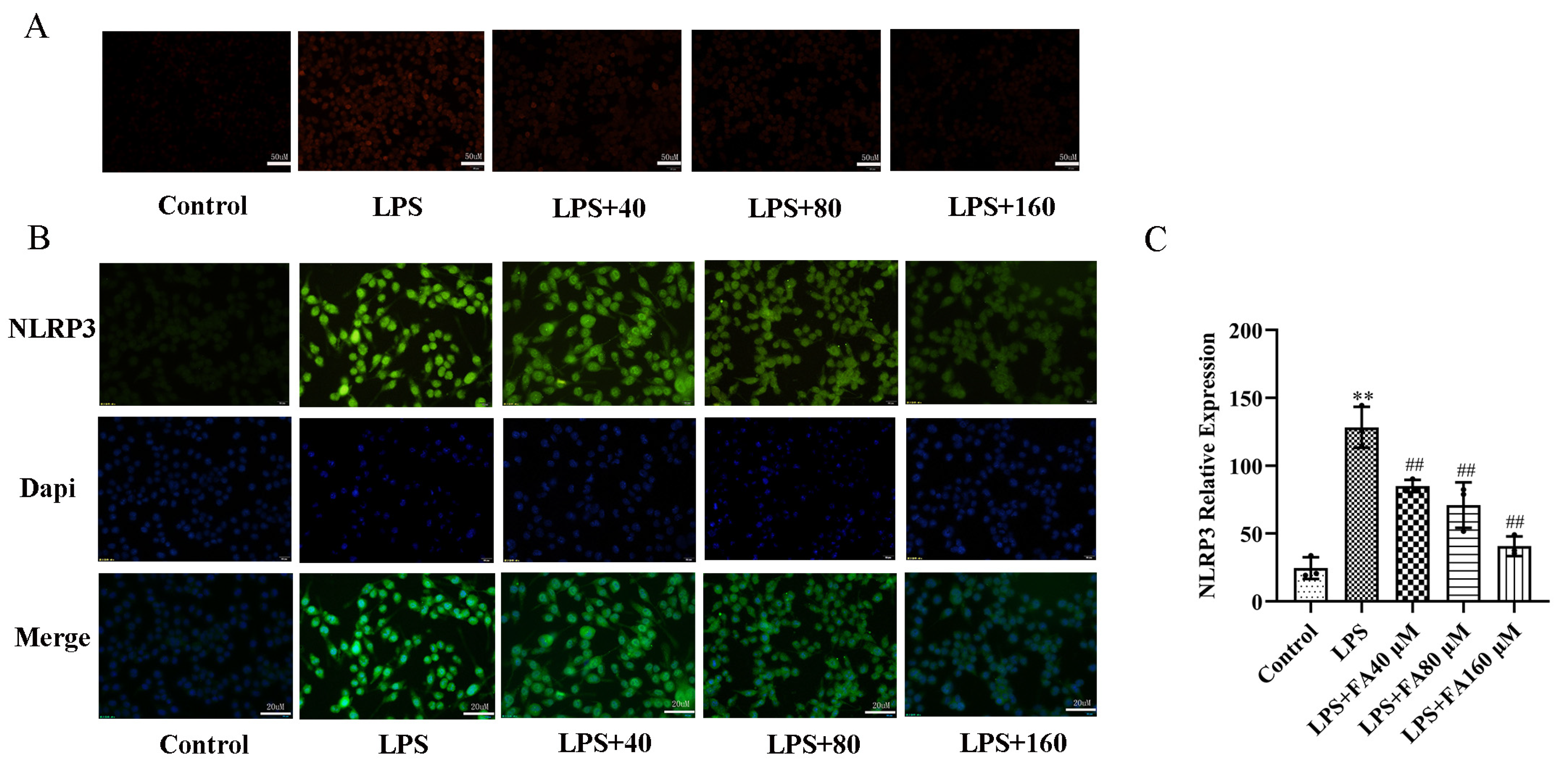 Molecules 28 03482 g002