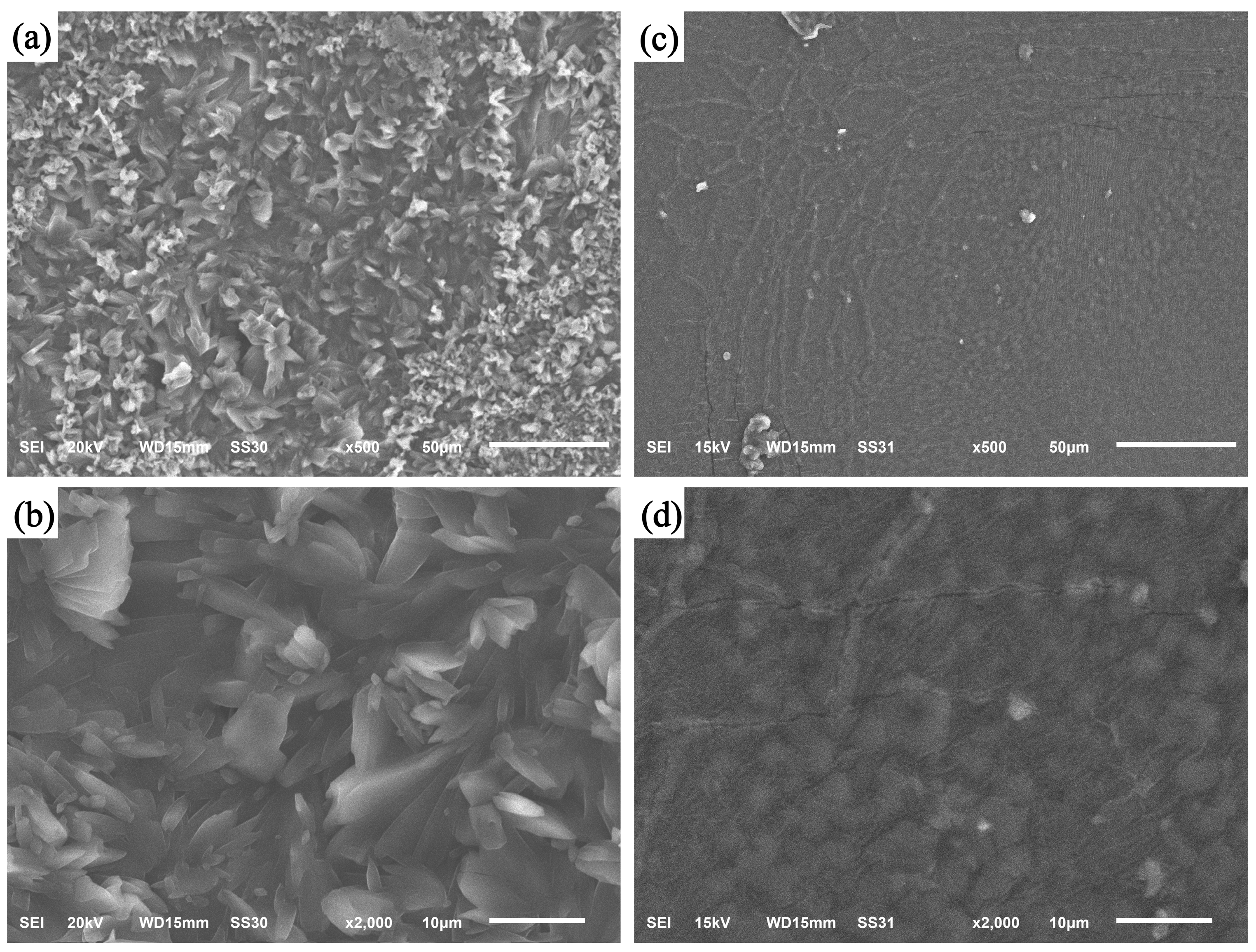 Molecules 28 03484 g003