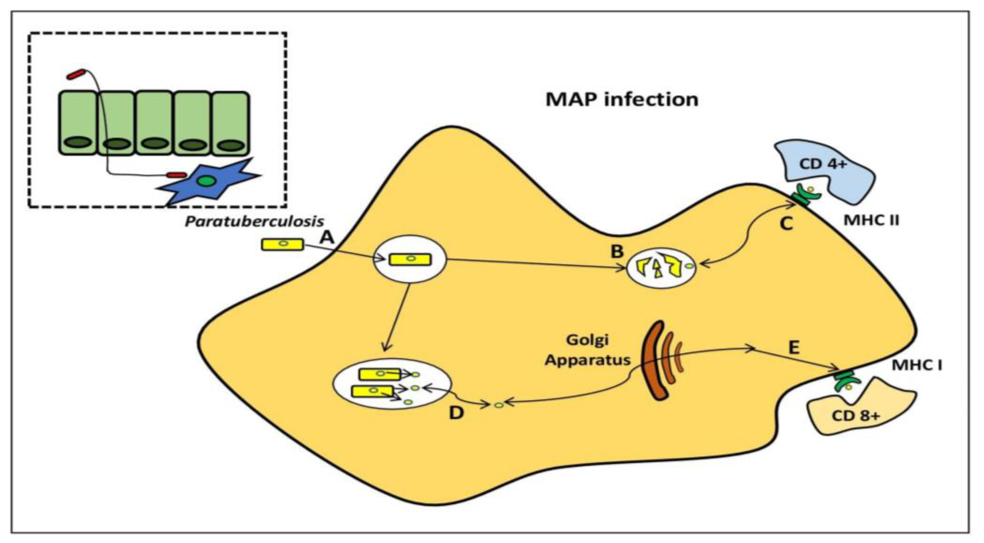 Molecules 28 03490 g005