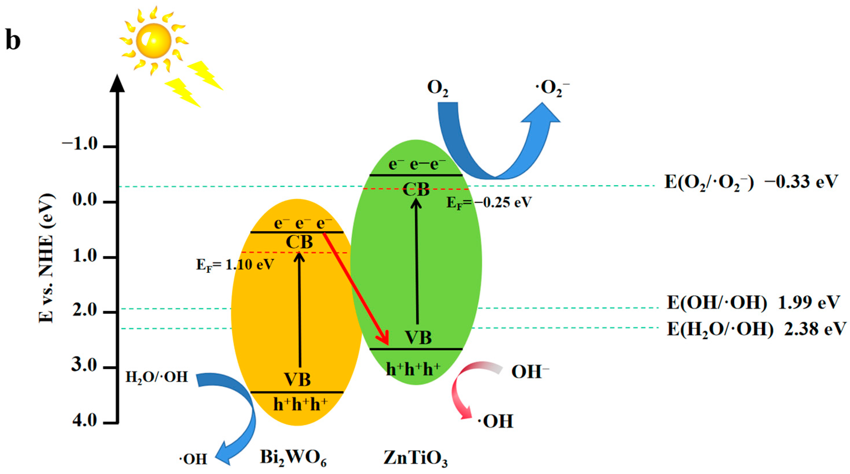 Molecules 28 03495 g011b Molecules 28 03495 g011b