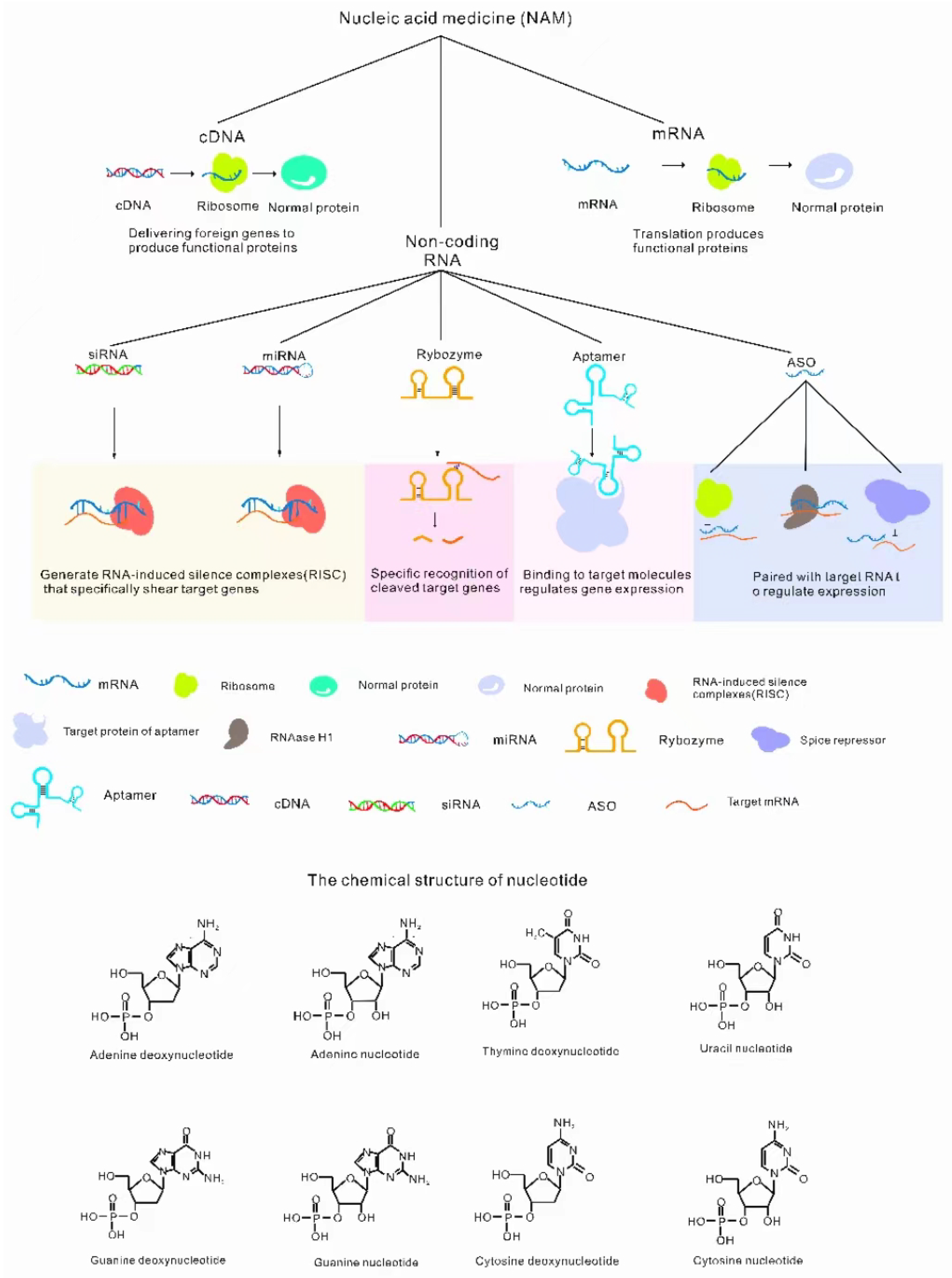 Molecules 28 03500 g001 Molecules 28 03500 g001