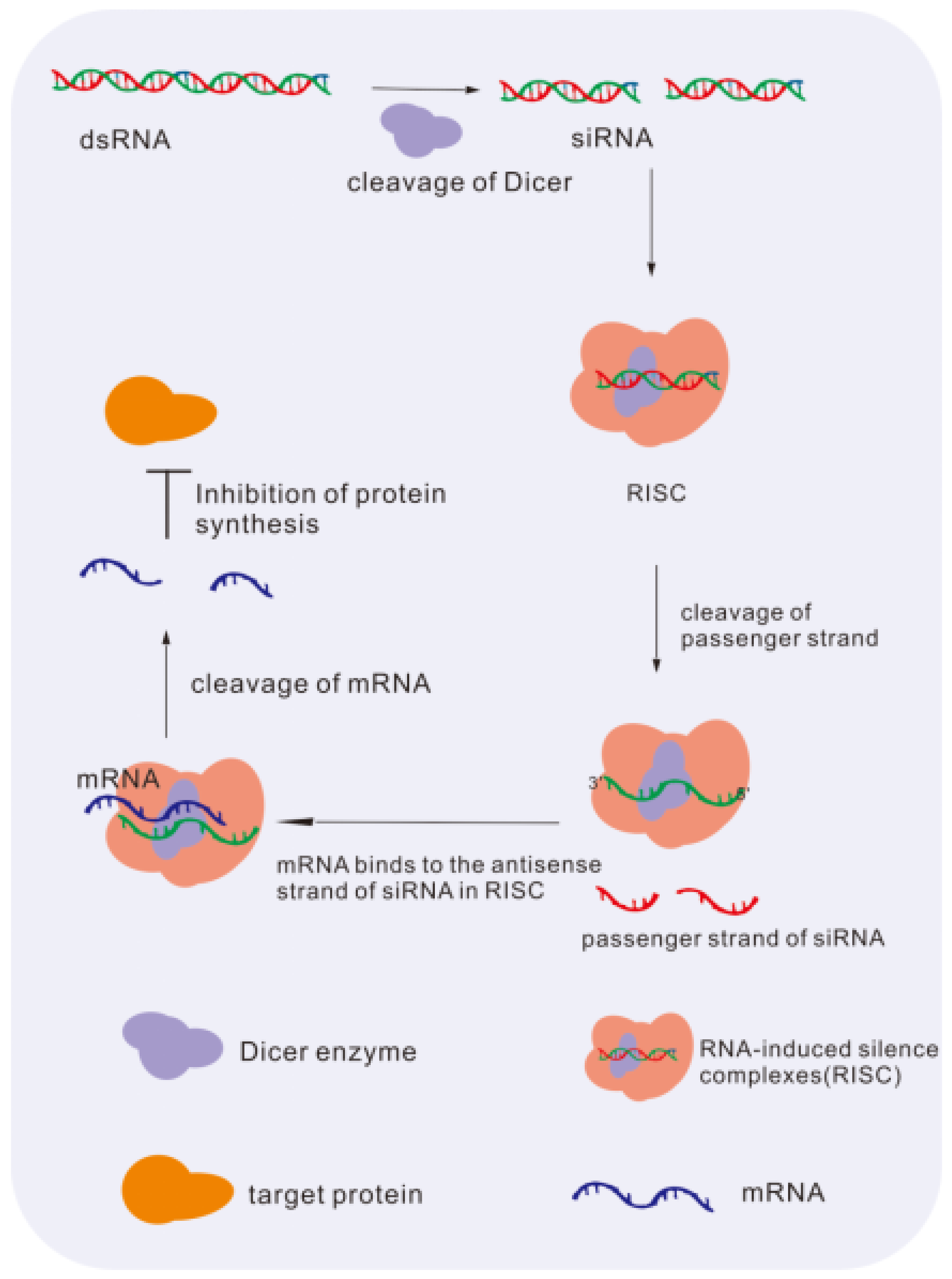 Molecules 28 03500 g004 Molecules 28 03500 g004